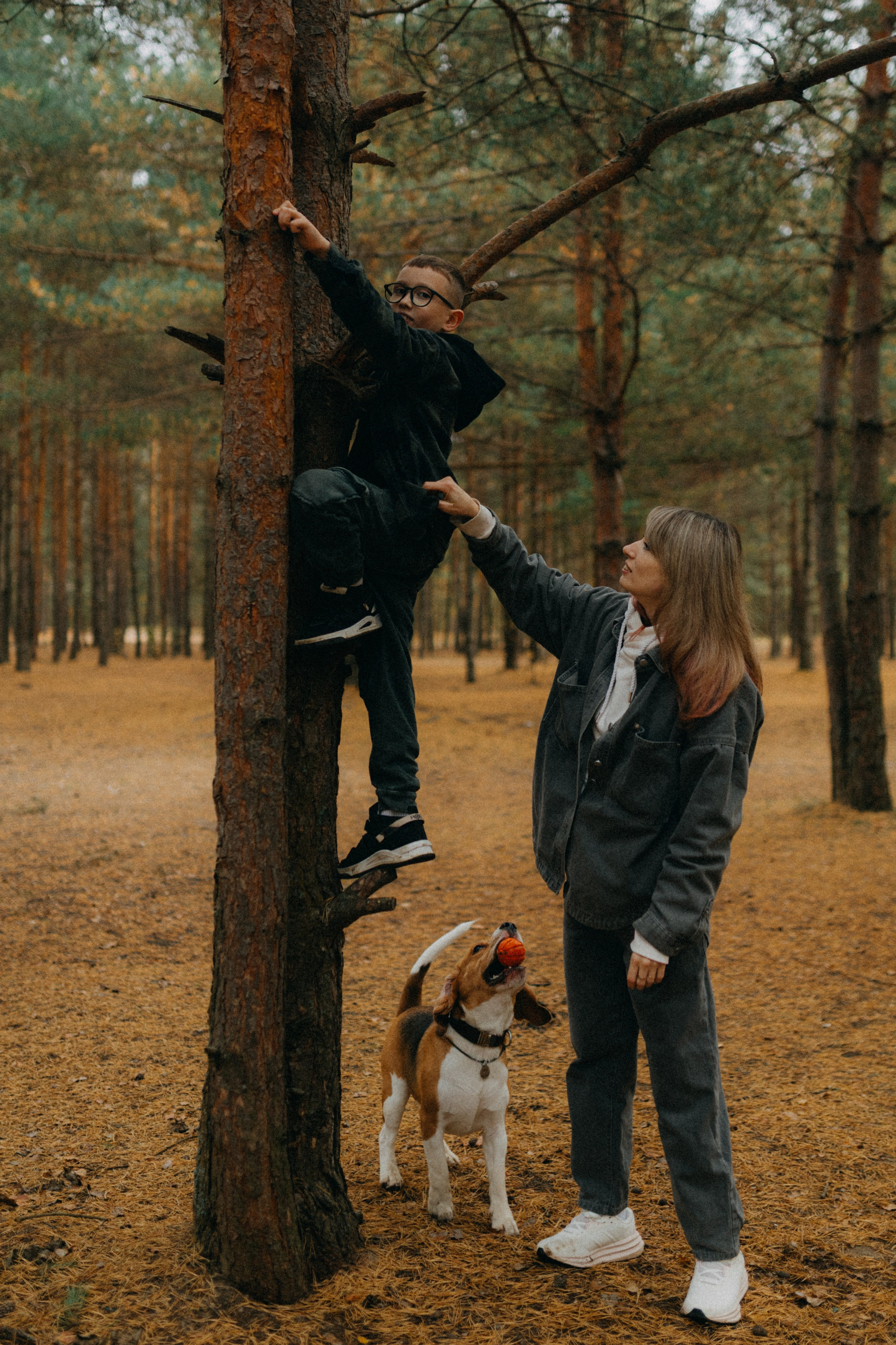 Ксюша & Федя. Прогулка с Лайдом. Фотограф НОГИНСК, Москва, Анастасия Белая