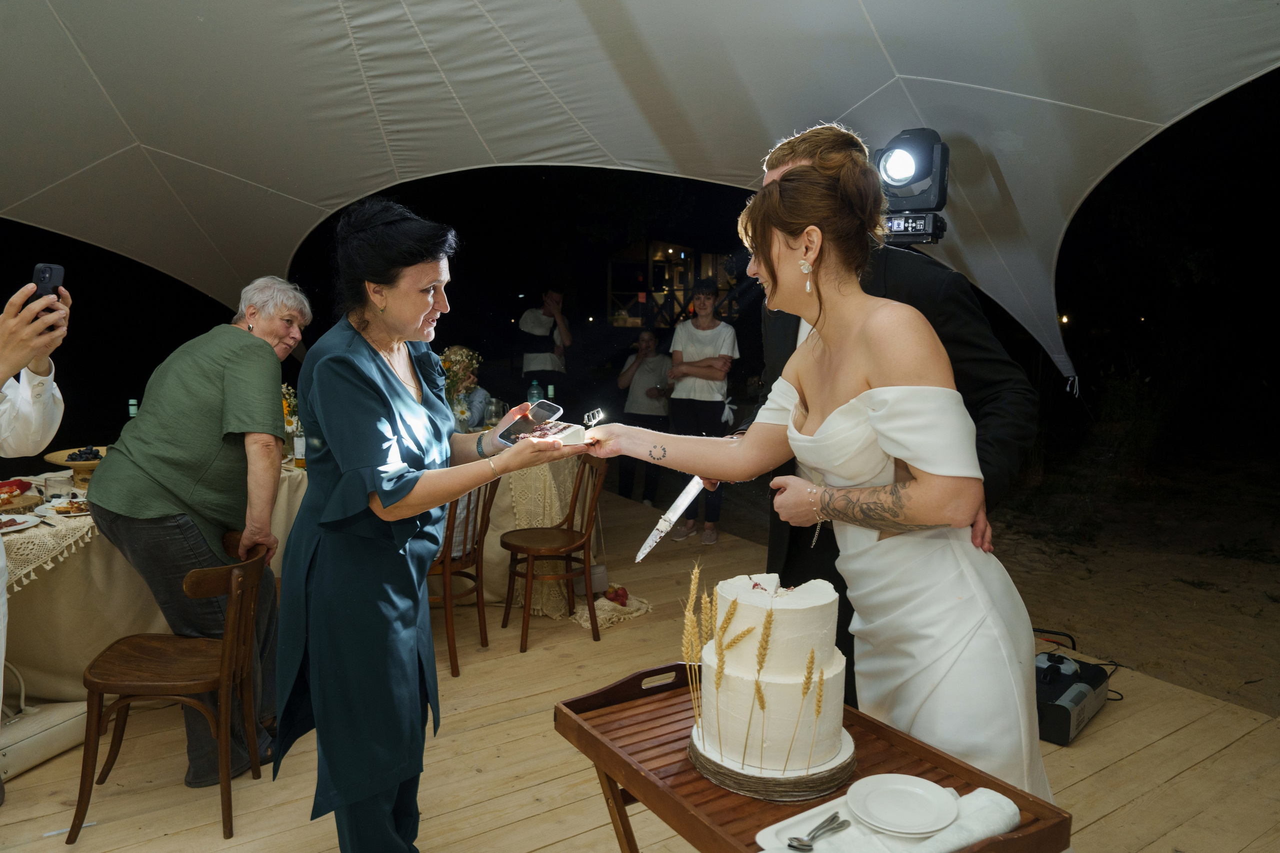 Михаил и Ольга (банкетная часть г. Брянск). Свадебный и репортажный фотограф Элина Козырьянова