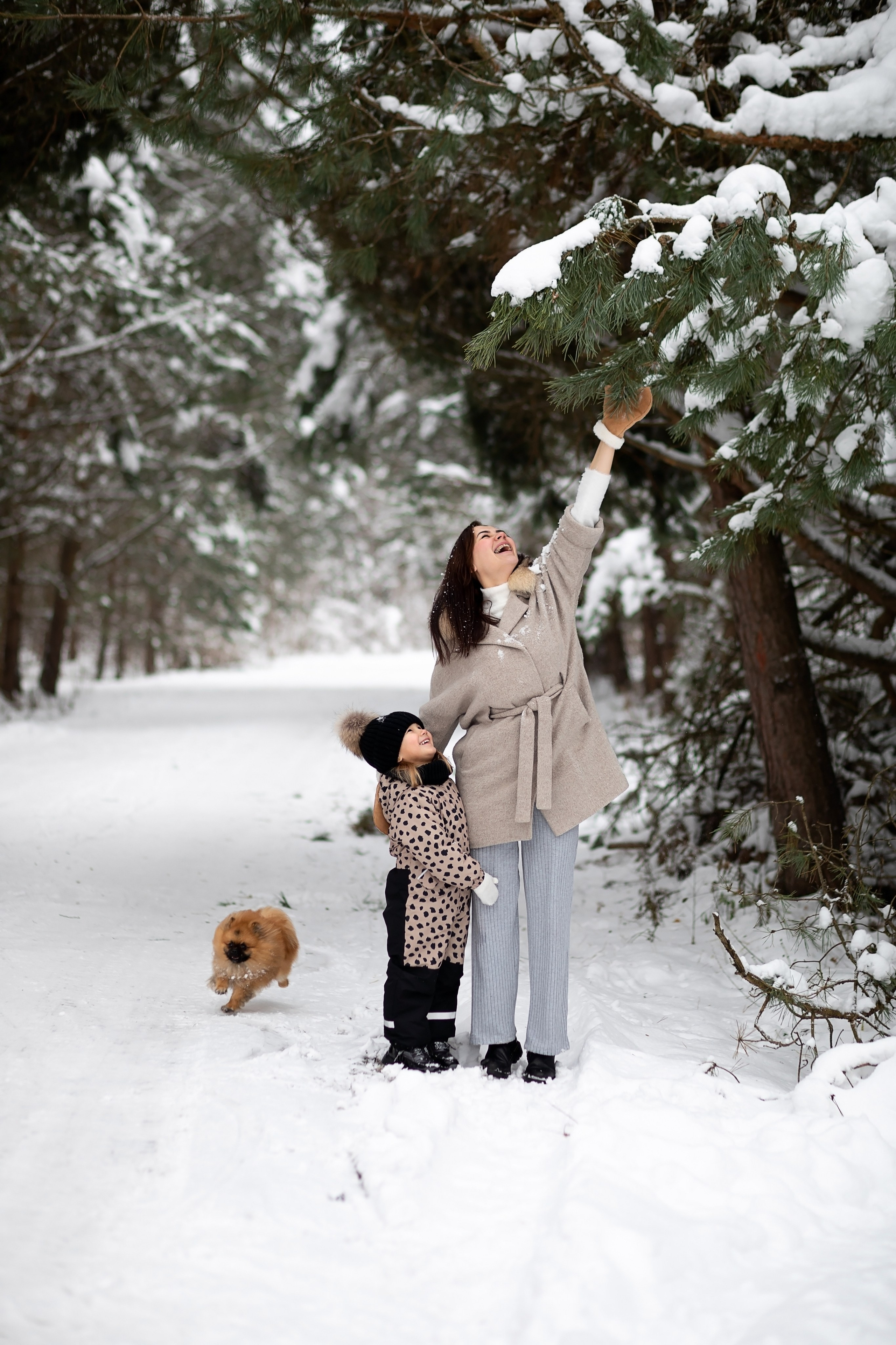 Сергей, Оля, Лера и Чупа. Главная