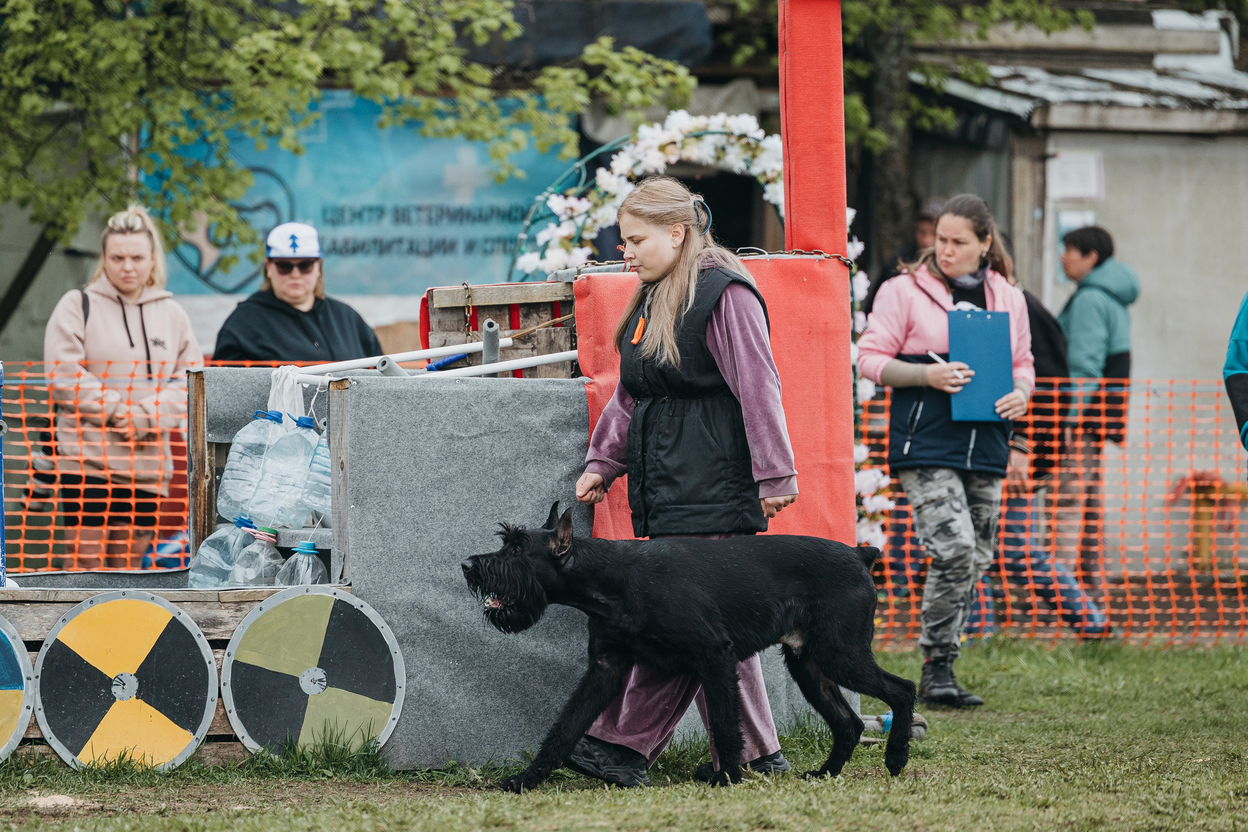 26.05.25 г. Пушкин квалификационные соревнования. Фотограф-анималист Анна Маринич
