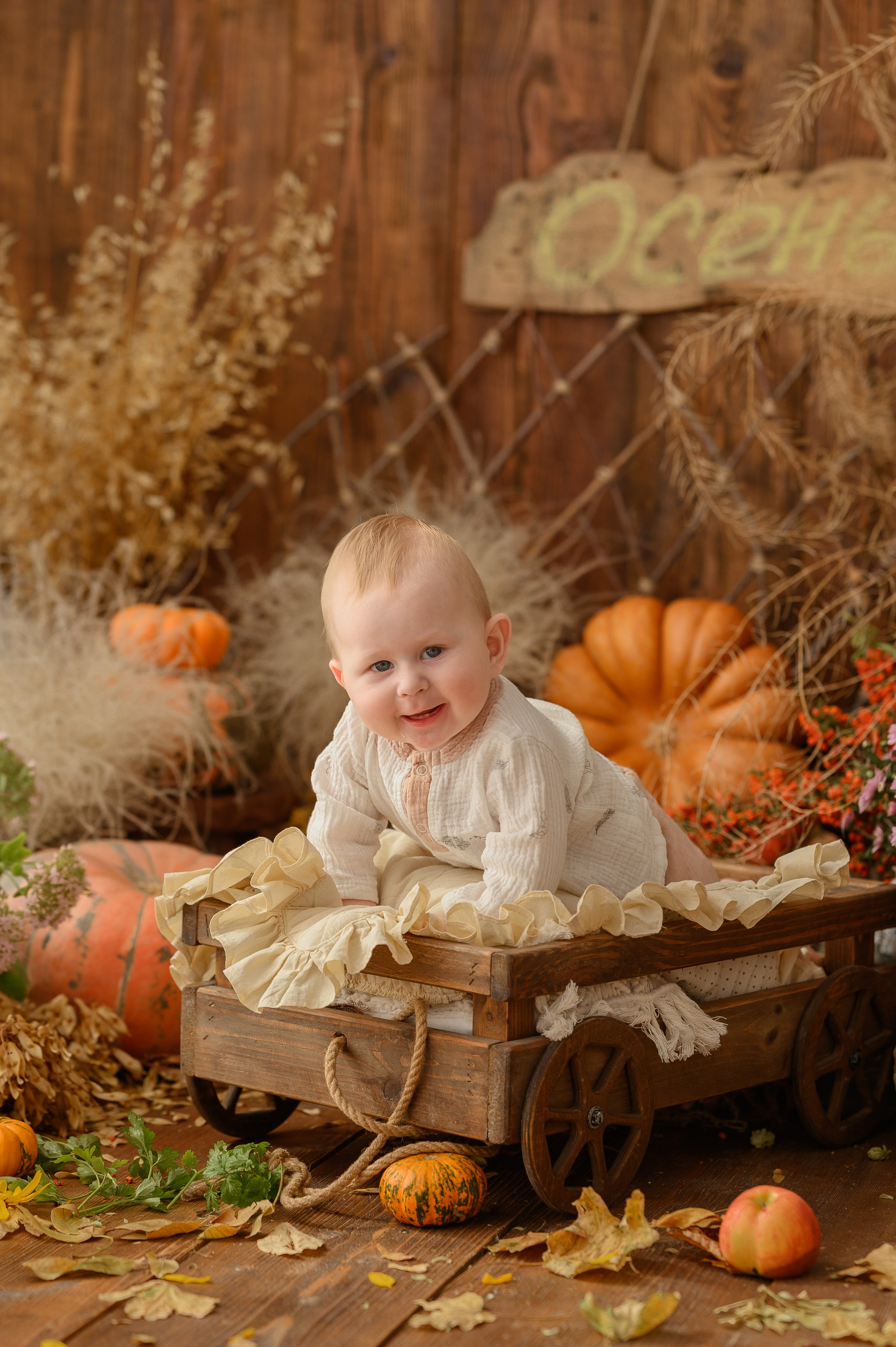 Дамирчик и кролик в тыквах. Детский и семейный фотограф Ирина Гладких