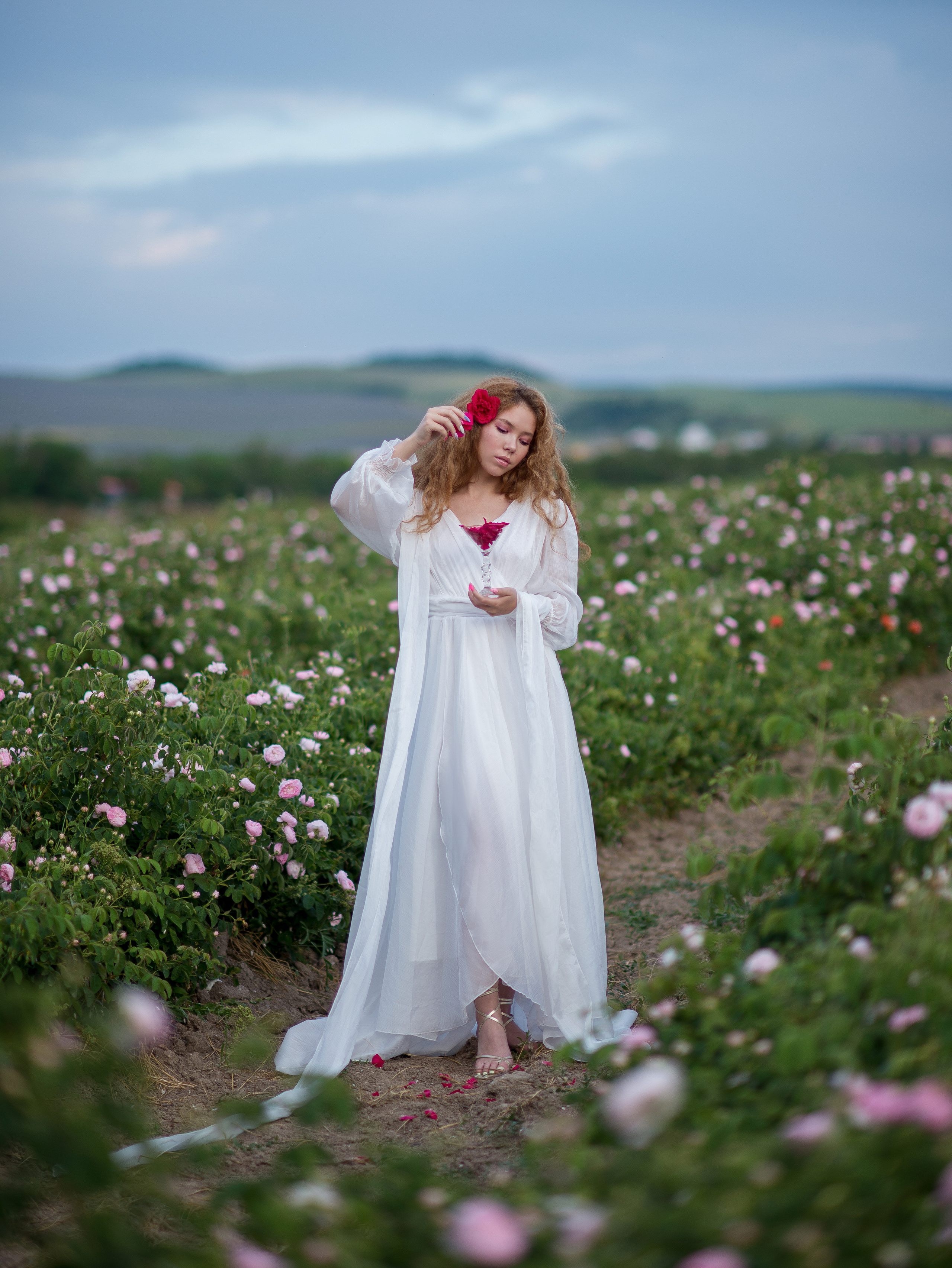 Закатная фотосессия в цветущих розовых кустах  Крыма (плантации Тургеневки)