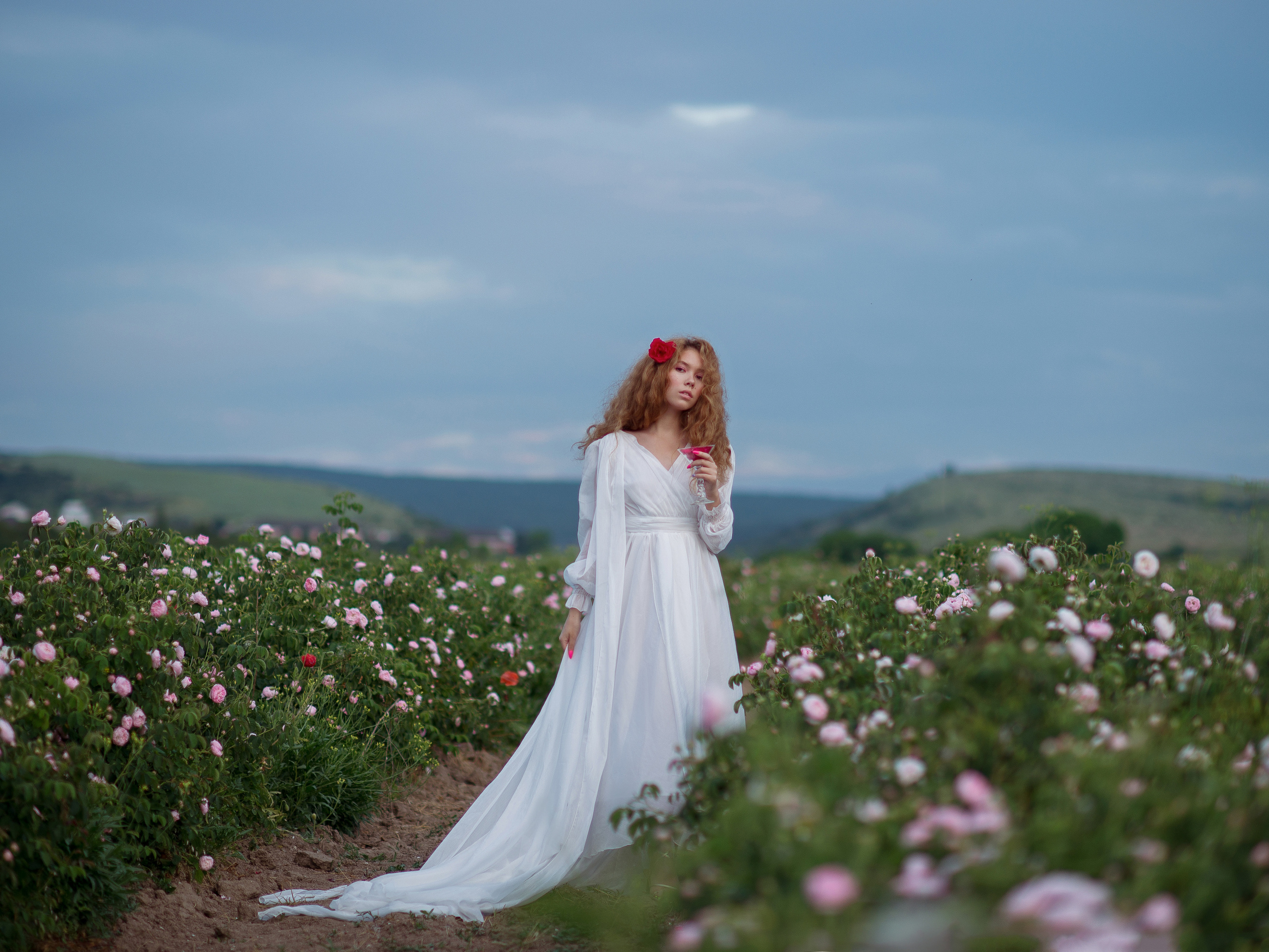 Фотограф в Тургеневке (лаванда и чайная роза)