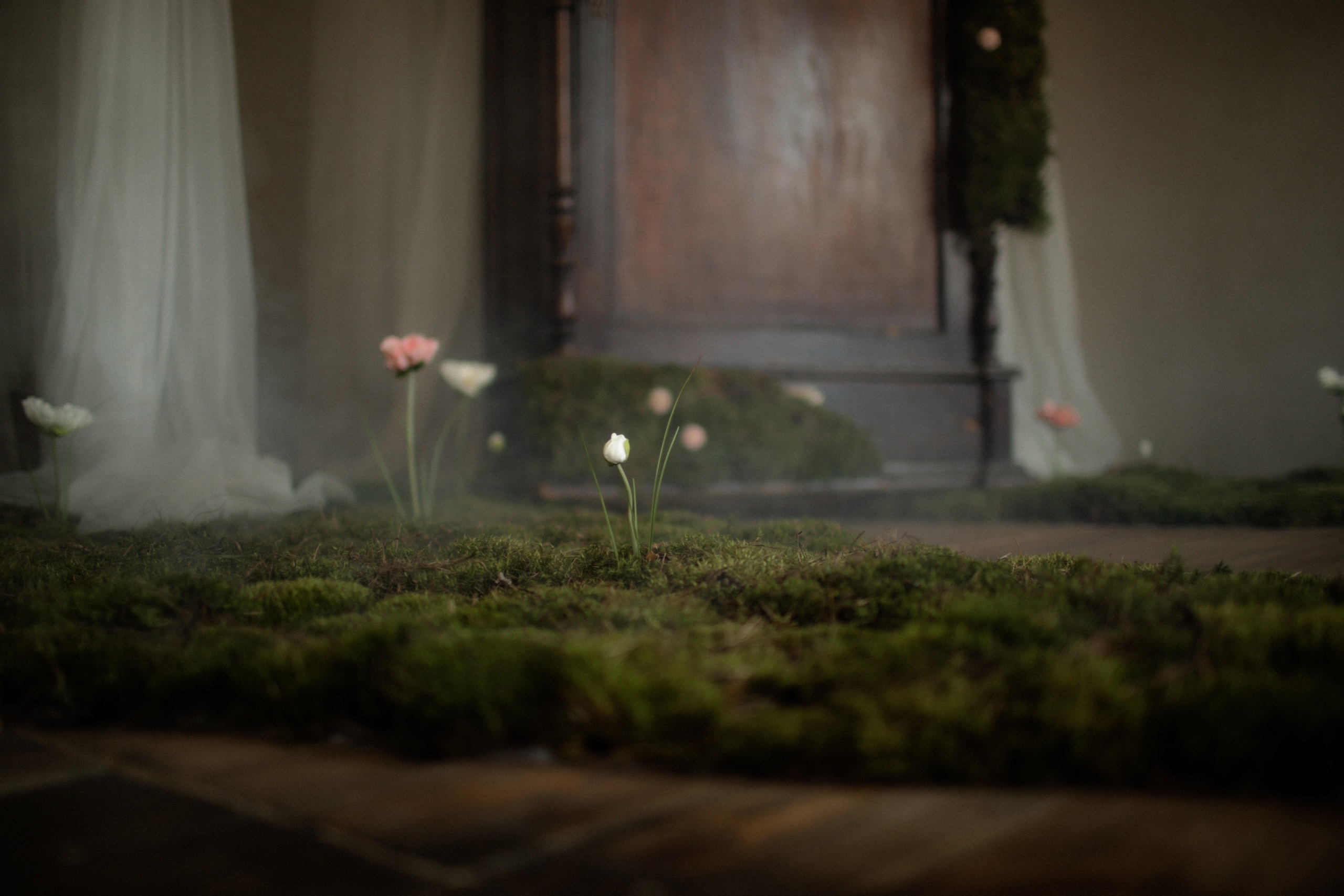 ЛЕС. Главная