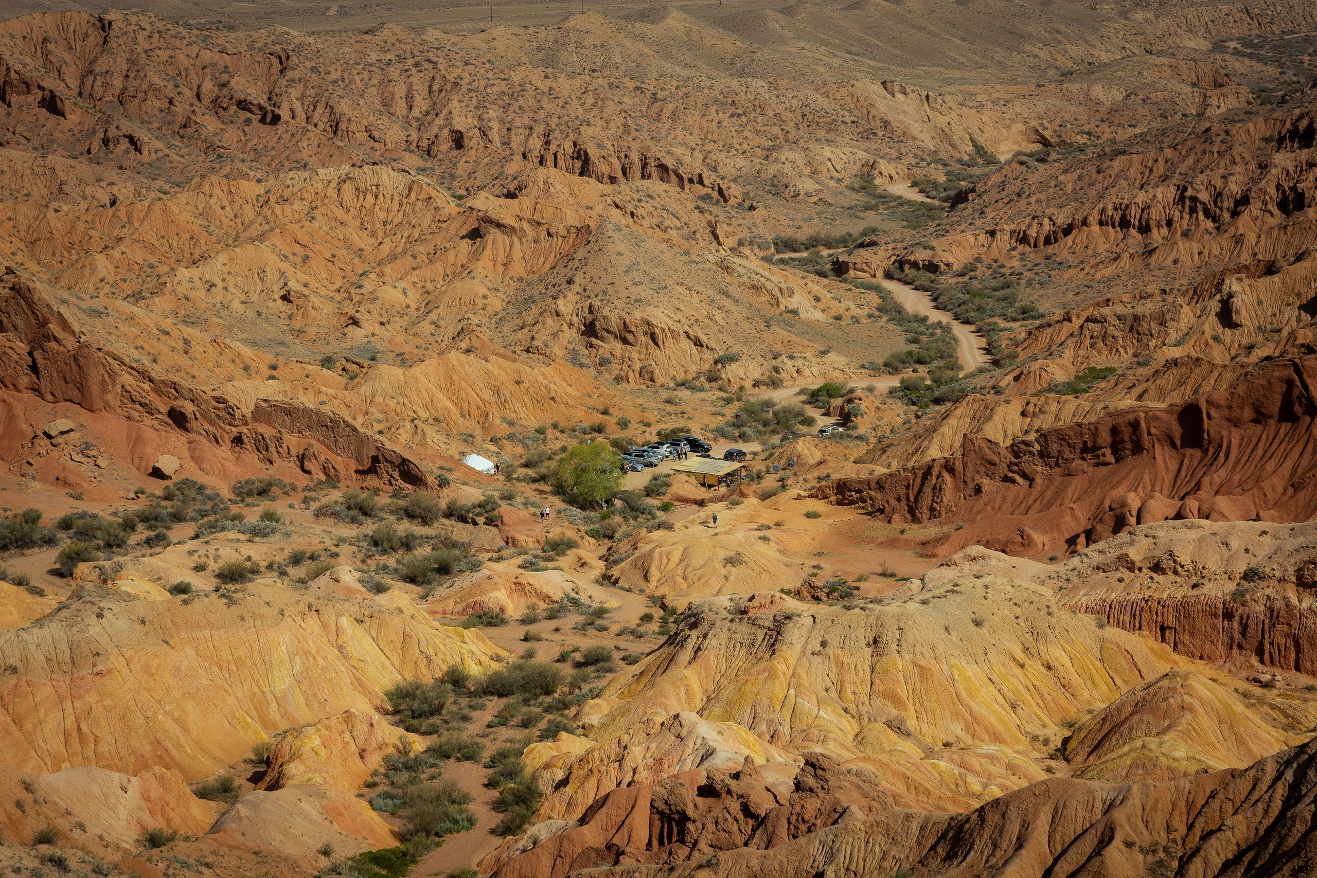 Кыргызстан (весна 2025). Фотограф Виноградов Константин