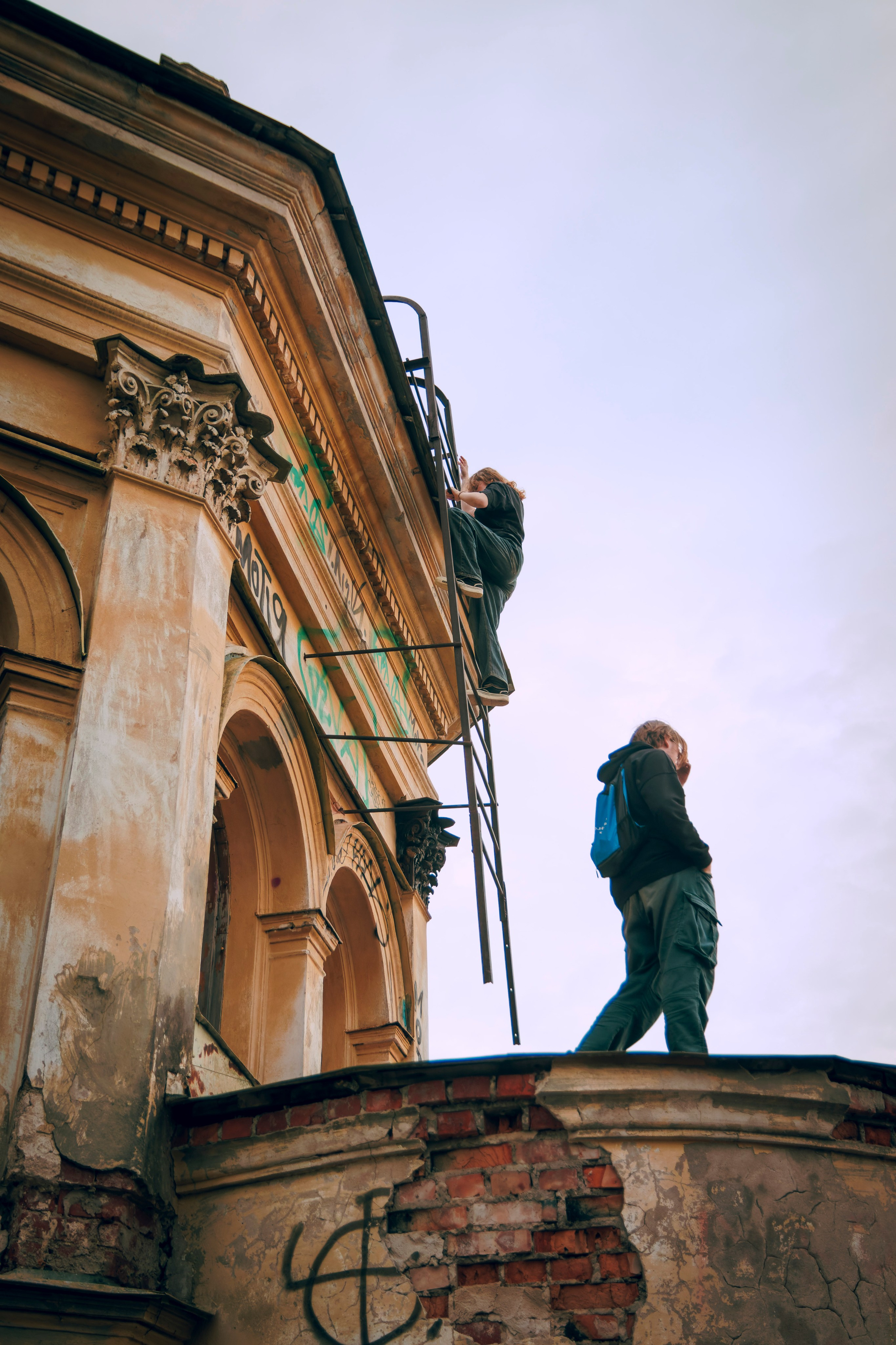 Из наблюдений. Плак или Квак