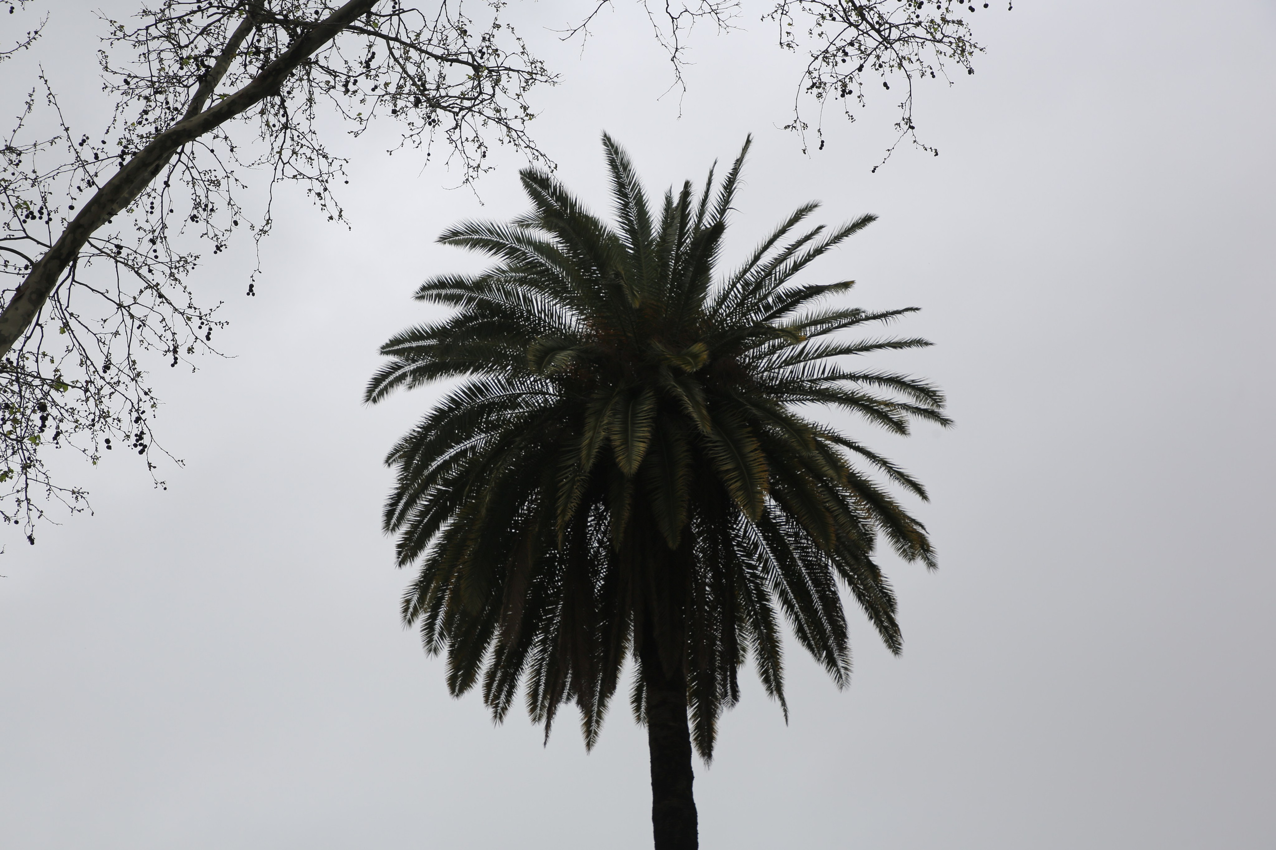 Buenos Aires, Argentina. Andrey Filippov Photographer