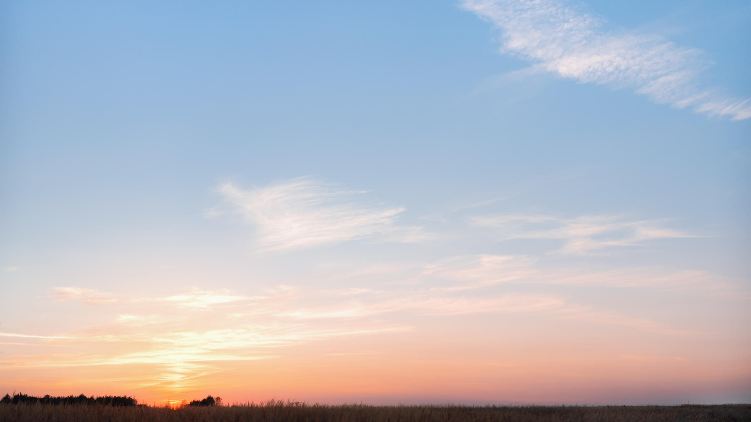 Небо видело всё. Komonev