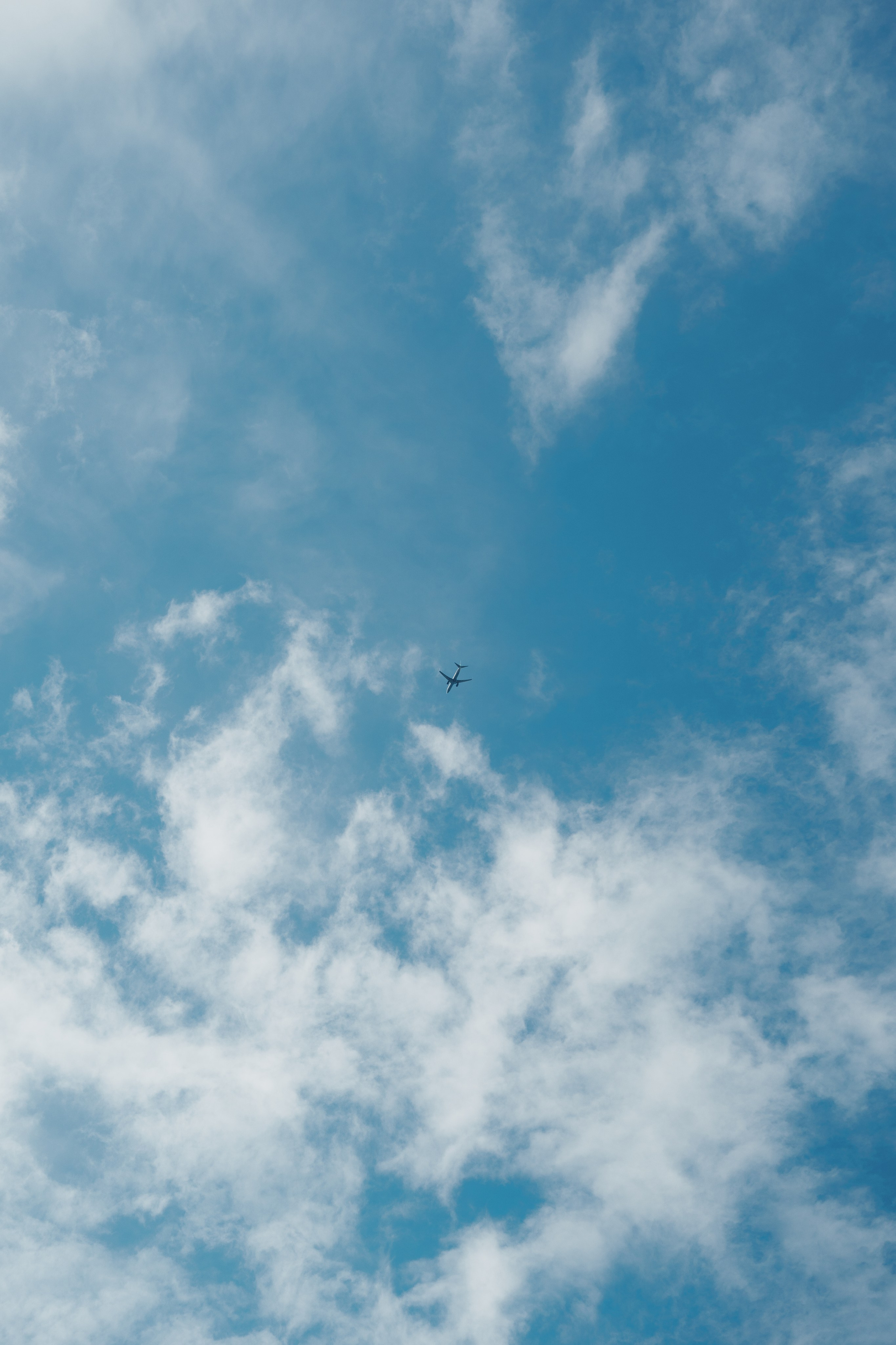 Соня&Паша. Фотограф в Москве