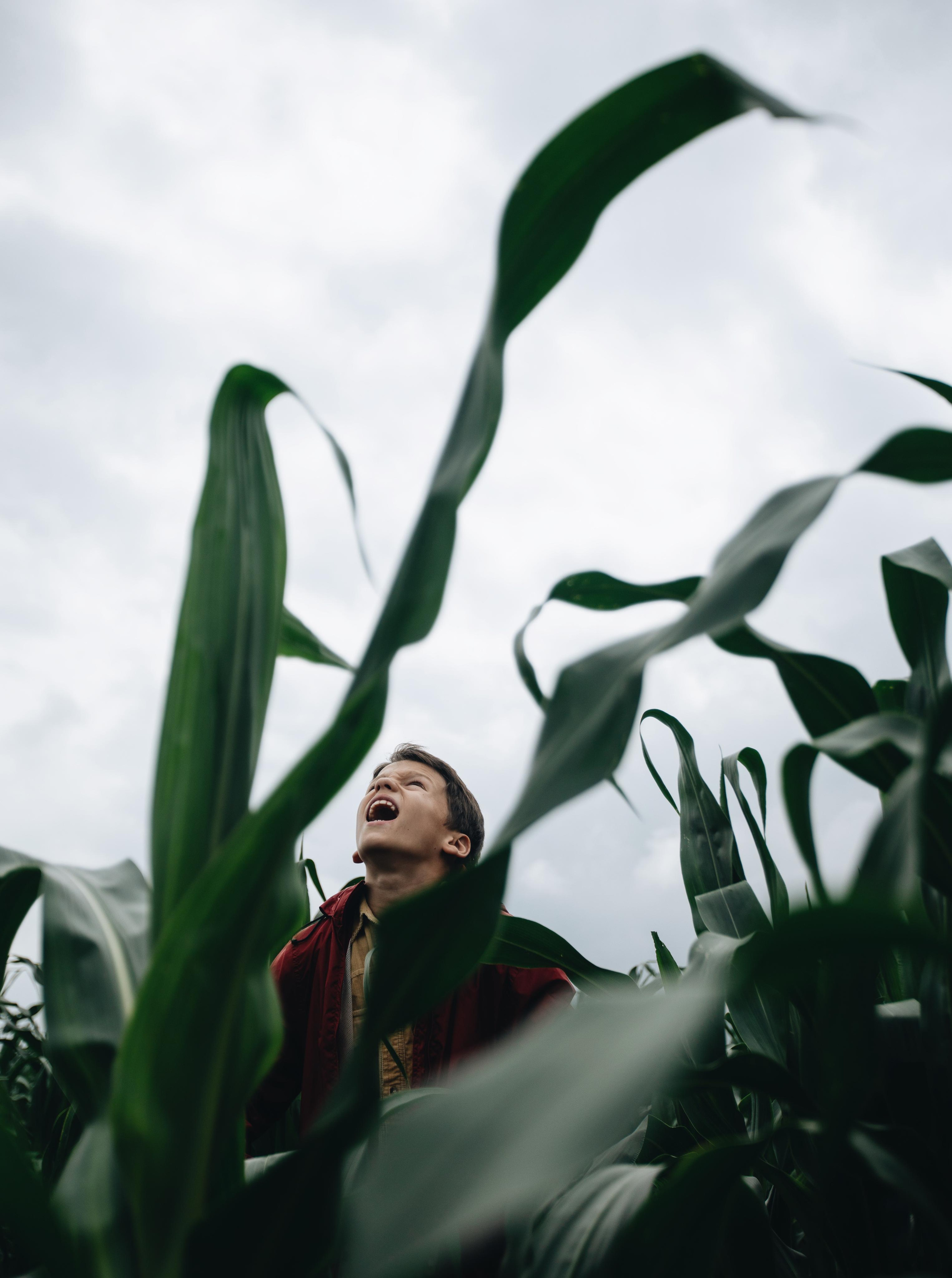 Фото портфолио. Фотохудожник и кинооператор в Москве Ксения Засецкая