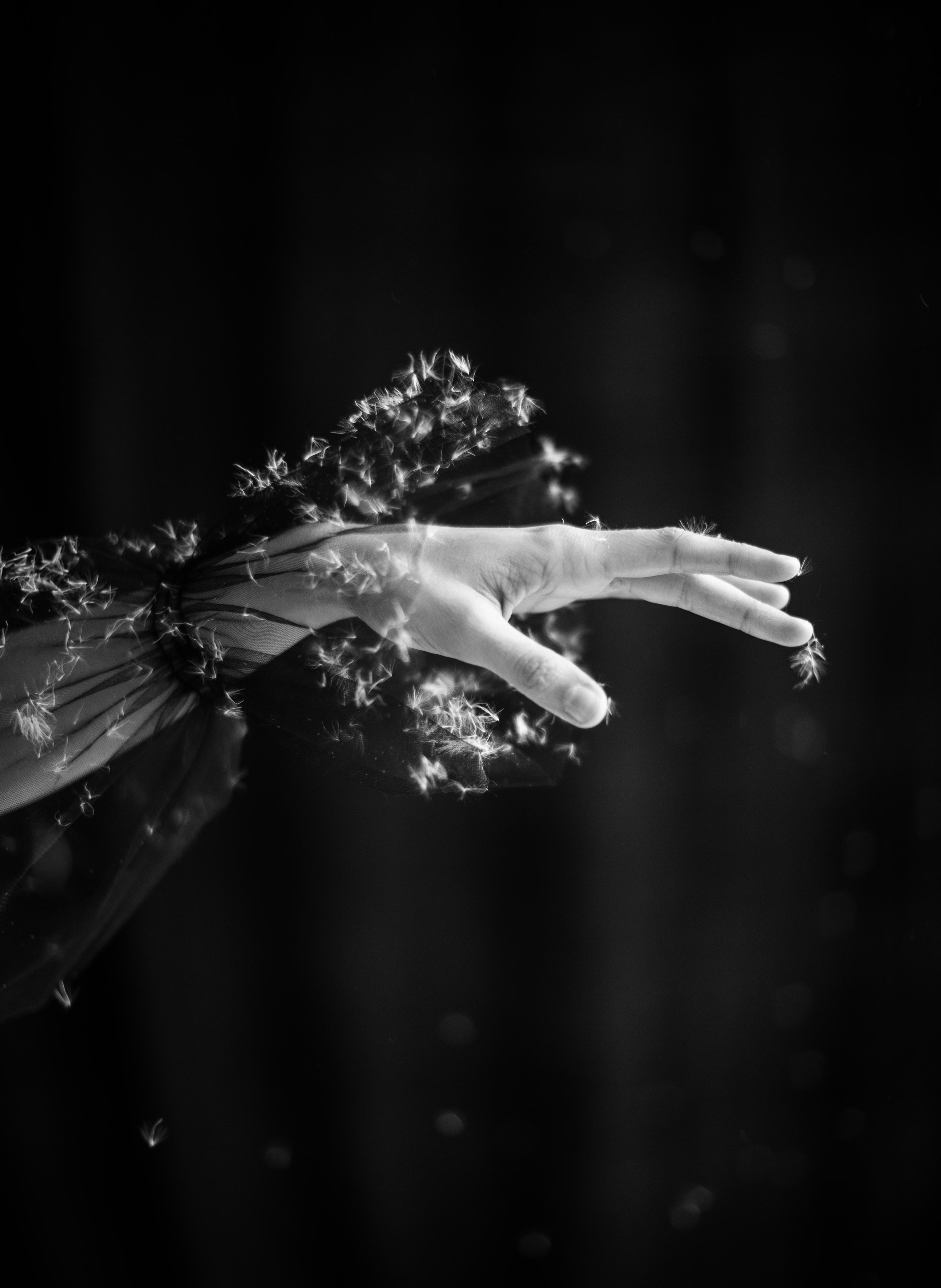 Фото портфолио. Фотохудожник и кинооператор в Москве Ксения Засецкая