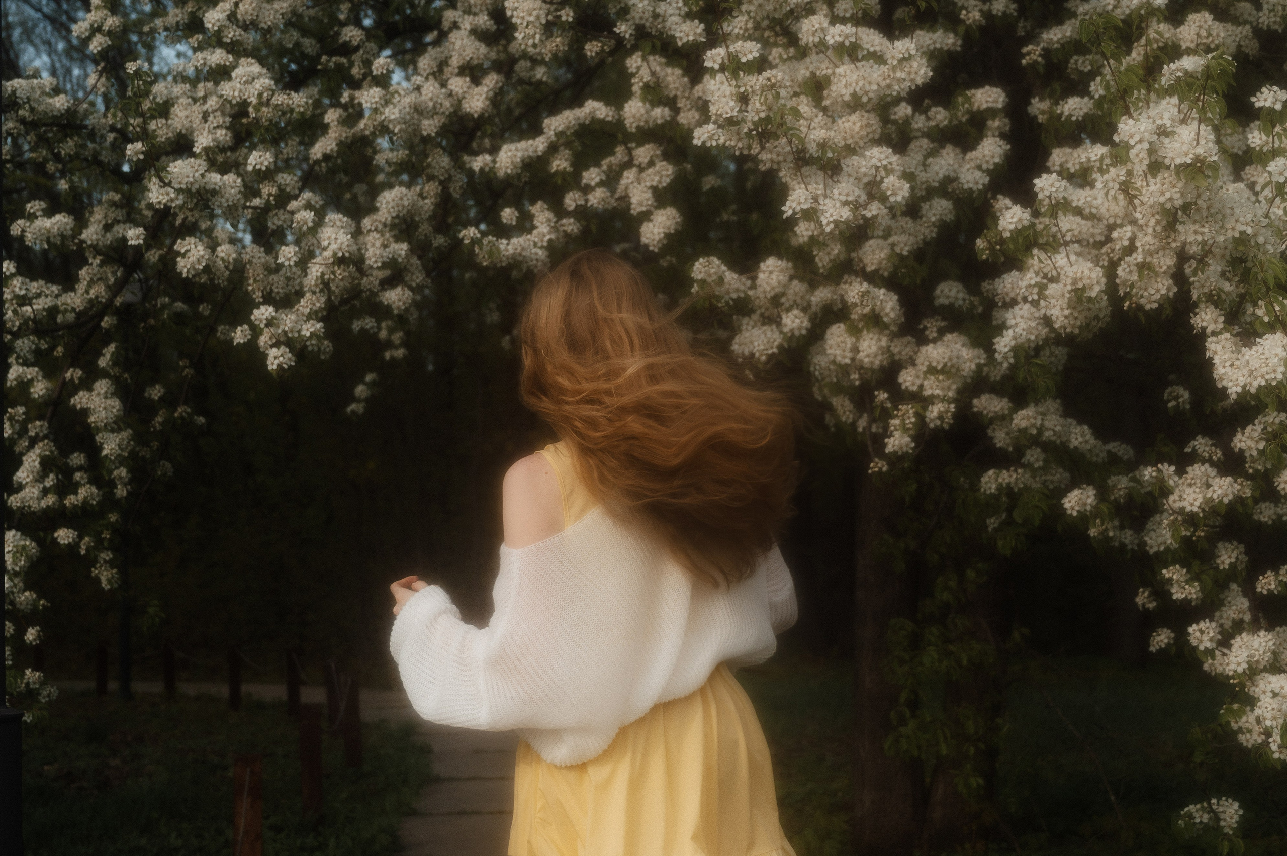 Цветущий сад. Семейный и свадебный фотограф в Самаре