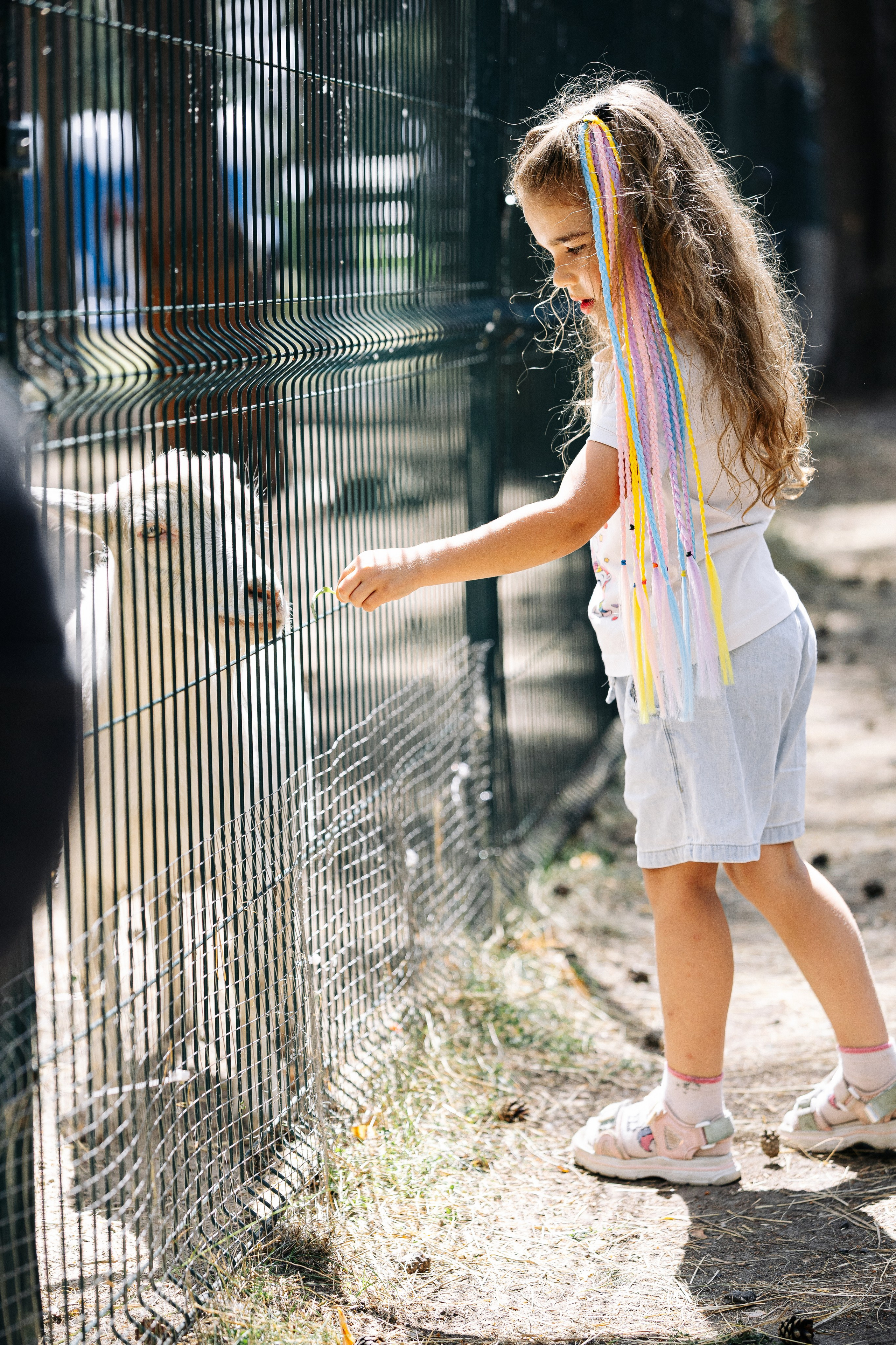 День Семьи Газпромнефть-Ямал. MIG — студия спортивной фотографии Михаила Голянского