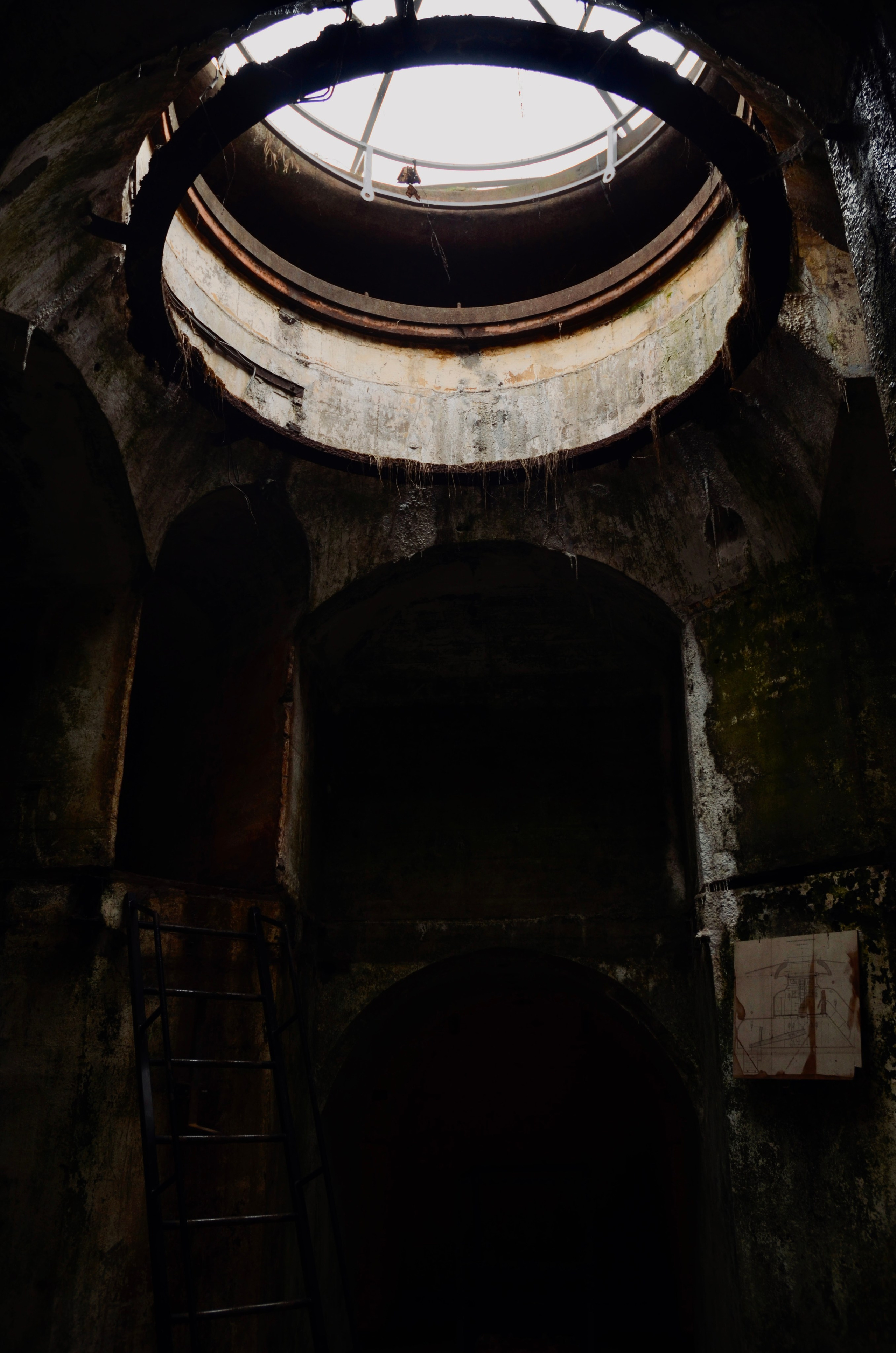 Холодный пляж. Катрин Эдельвак