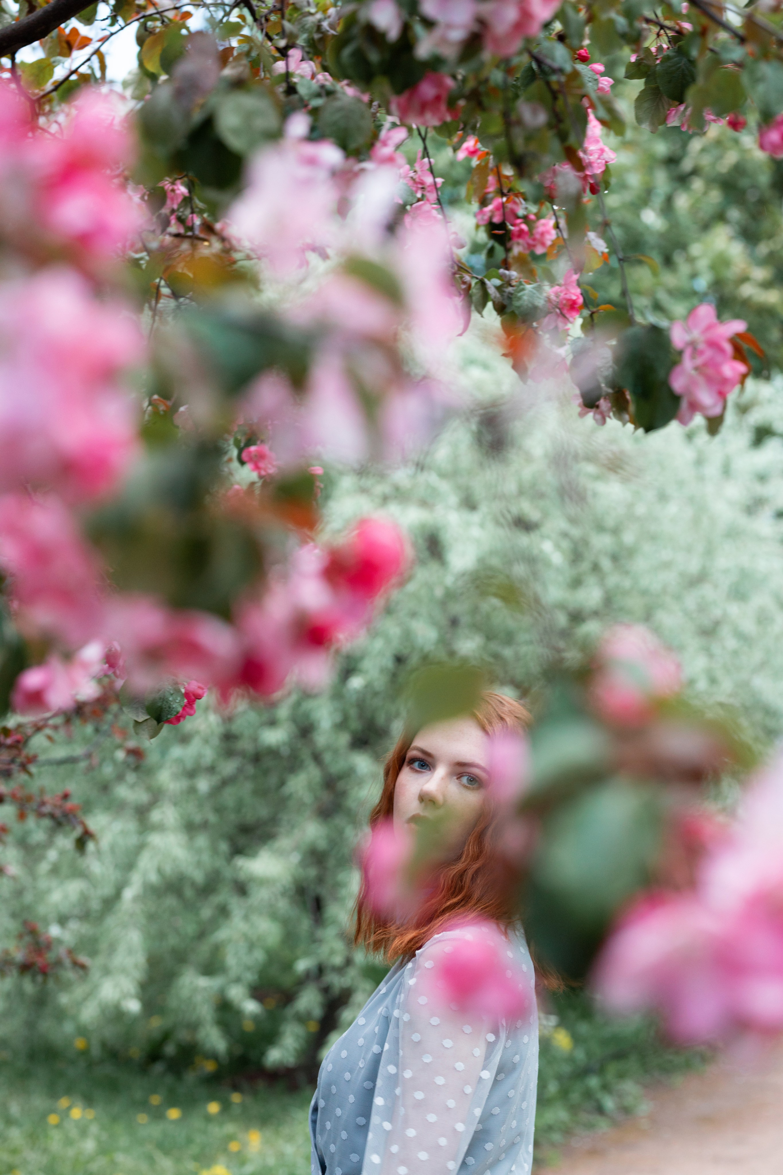 Аля в цветущем саду. Фотографии в Санкт-Петербурге и не только. Александр Колдин