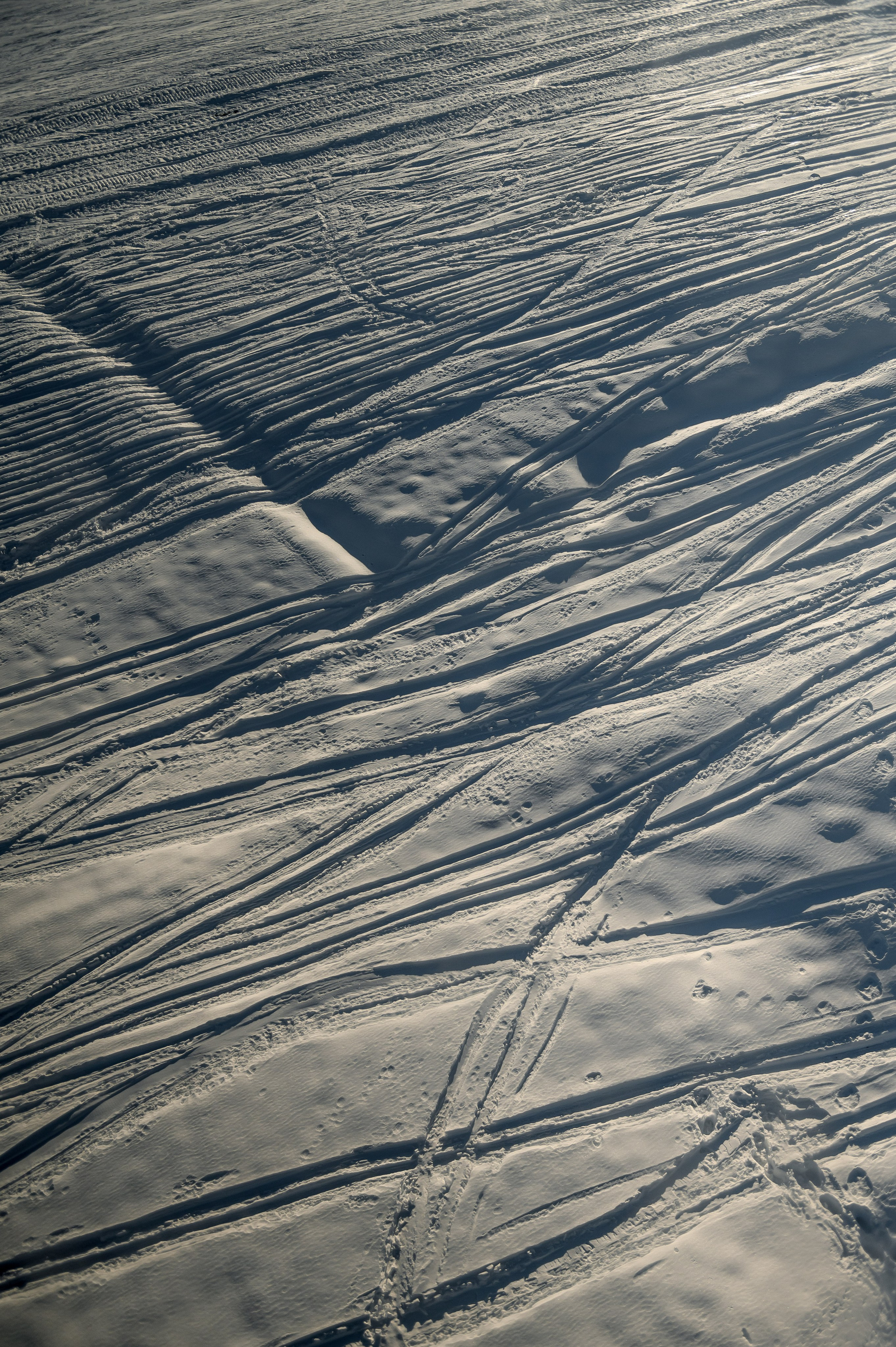 Большая любовь на высоте. Свадебный и семейный фотограф в Ставрополе Роман Иванов