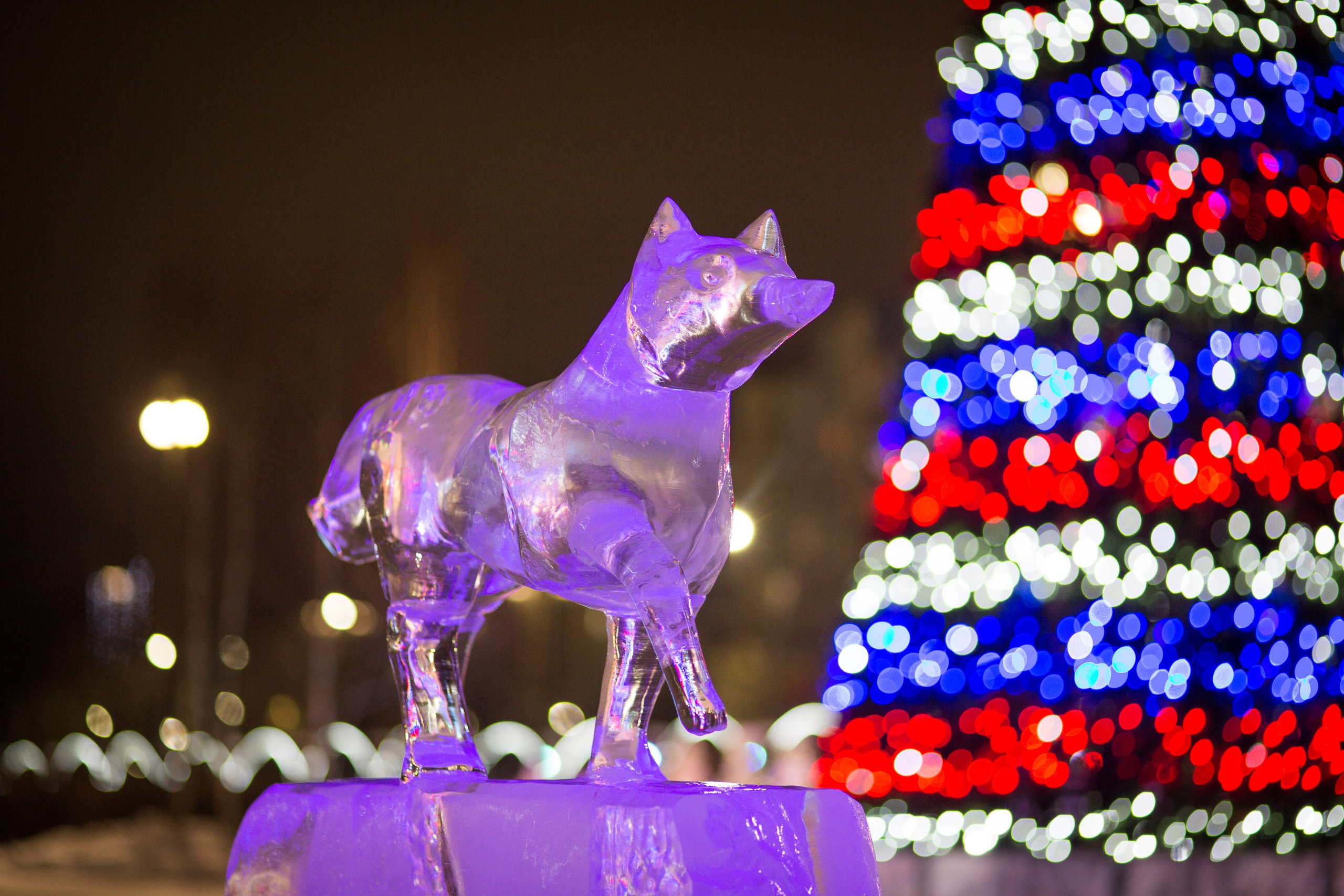 Сургут. Фотограф в г. Сургуте Марина Киприна