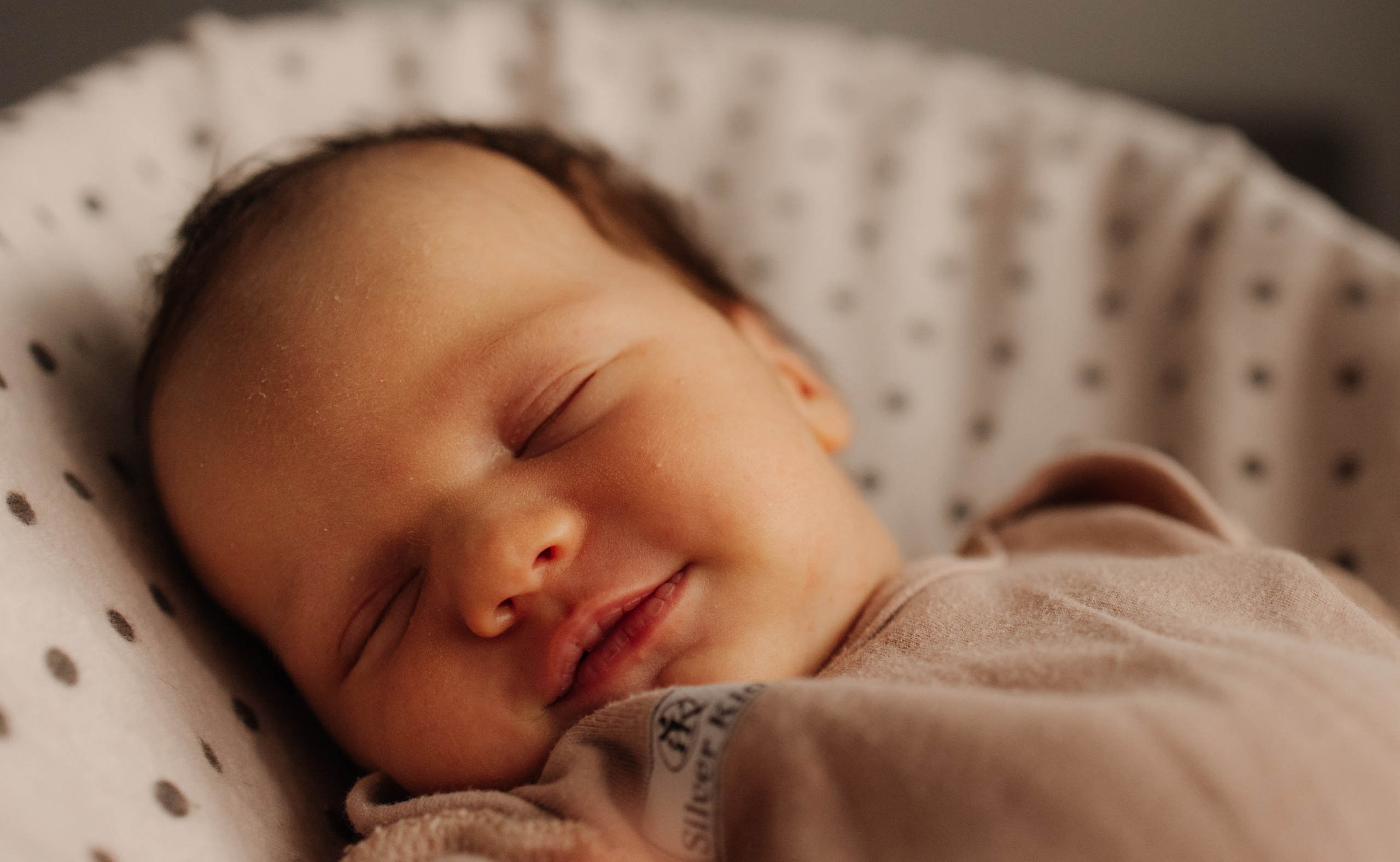 Аленушка дома. Фотограф Новосибирск