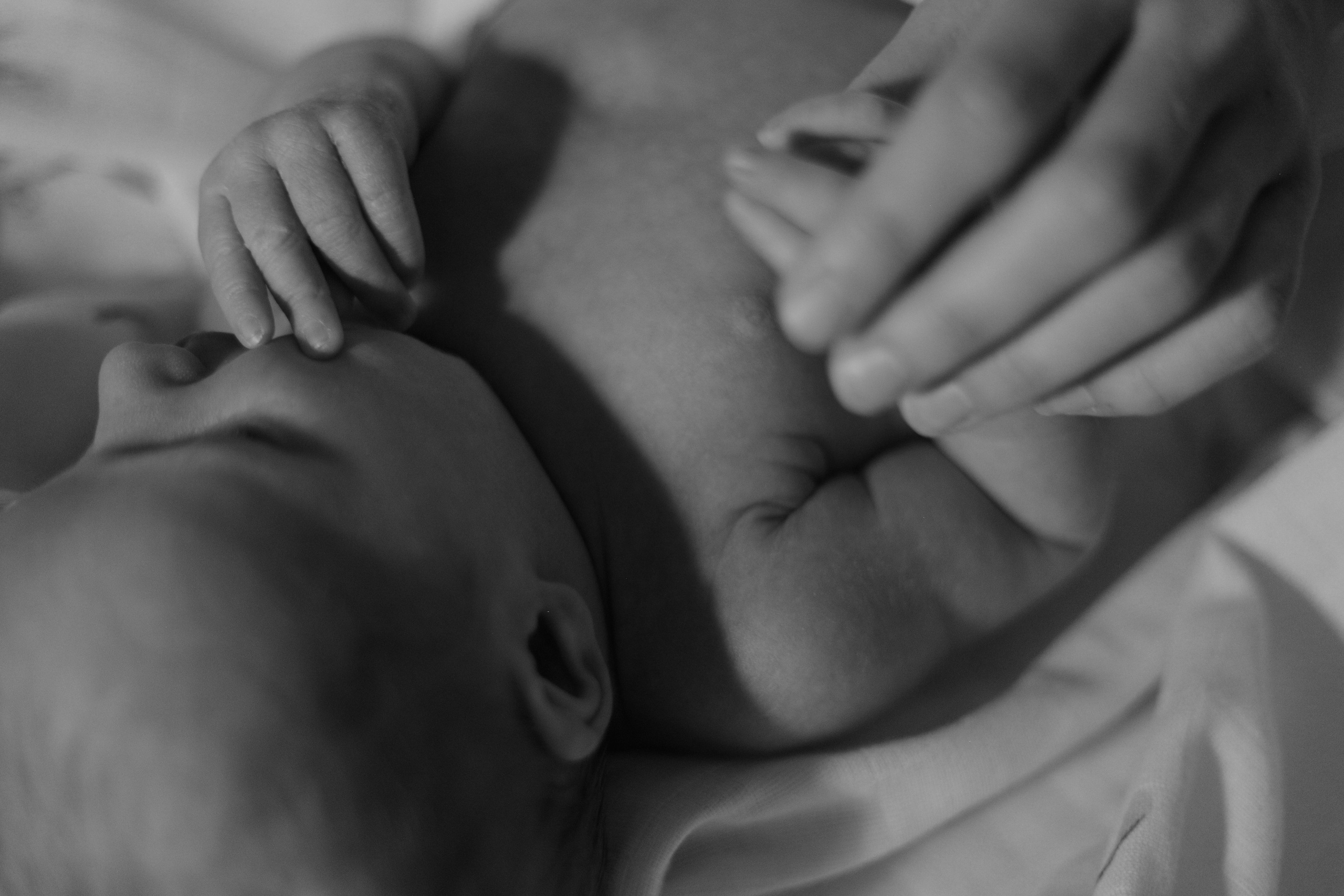 Алексей, Варя и крошка Лев. Варвара Синицына: семейный фотограф в Москве