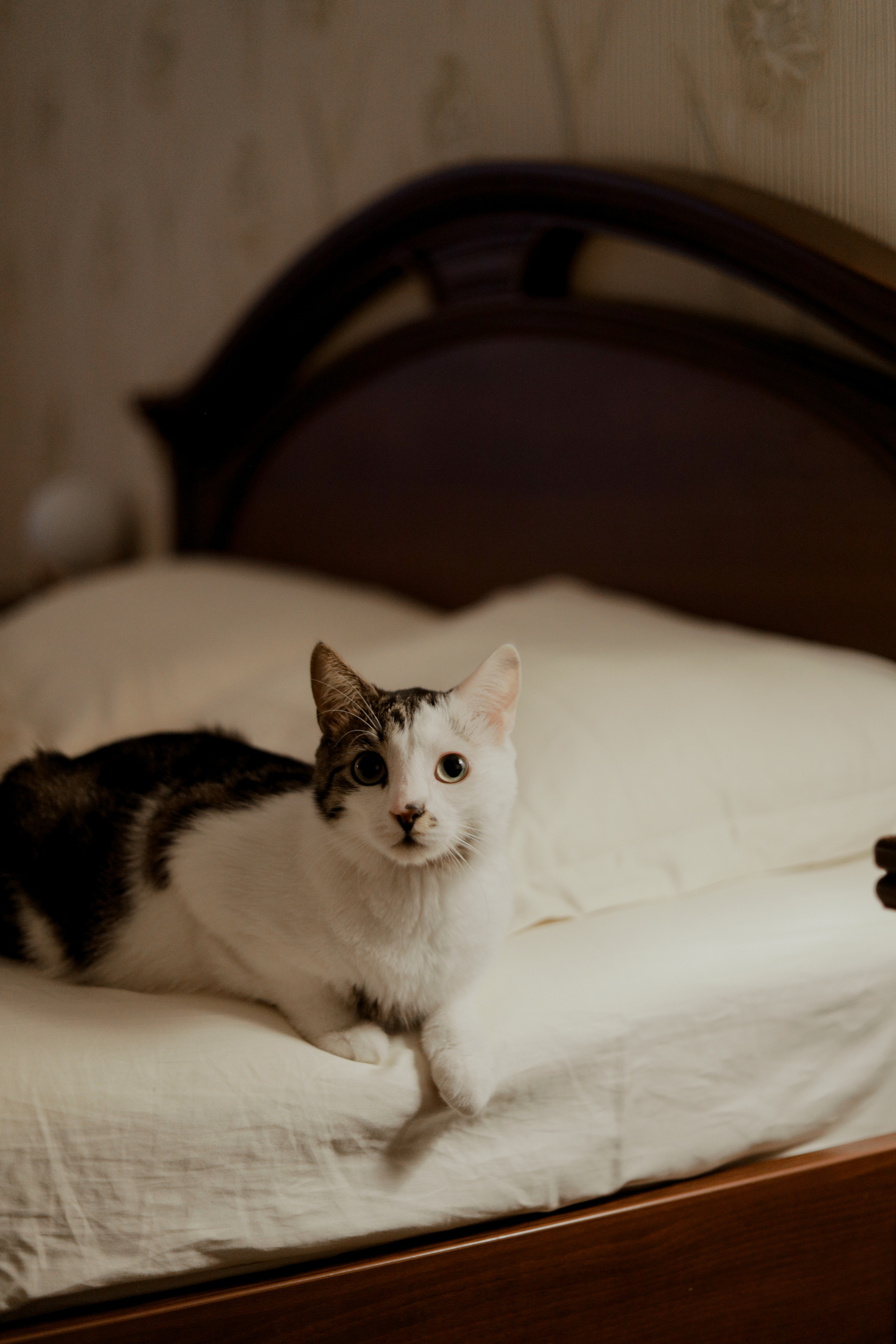 Алексей, Варя и крошка Лев. Варвара Синицына: семейный фотограф в Москве