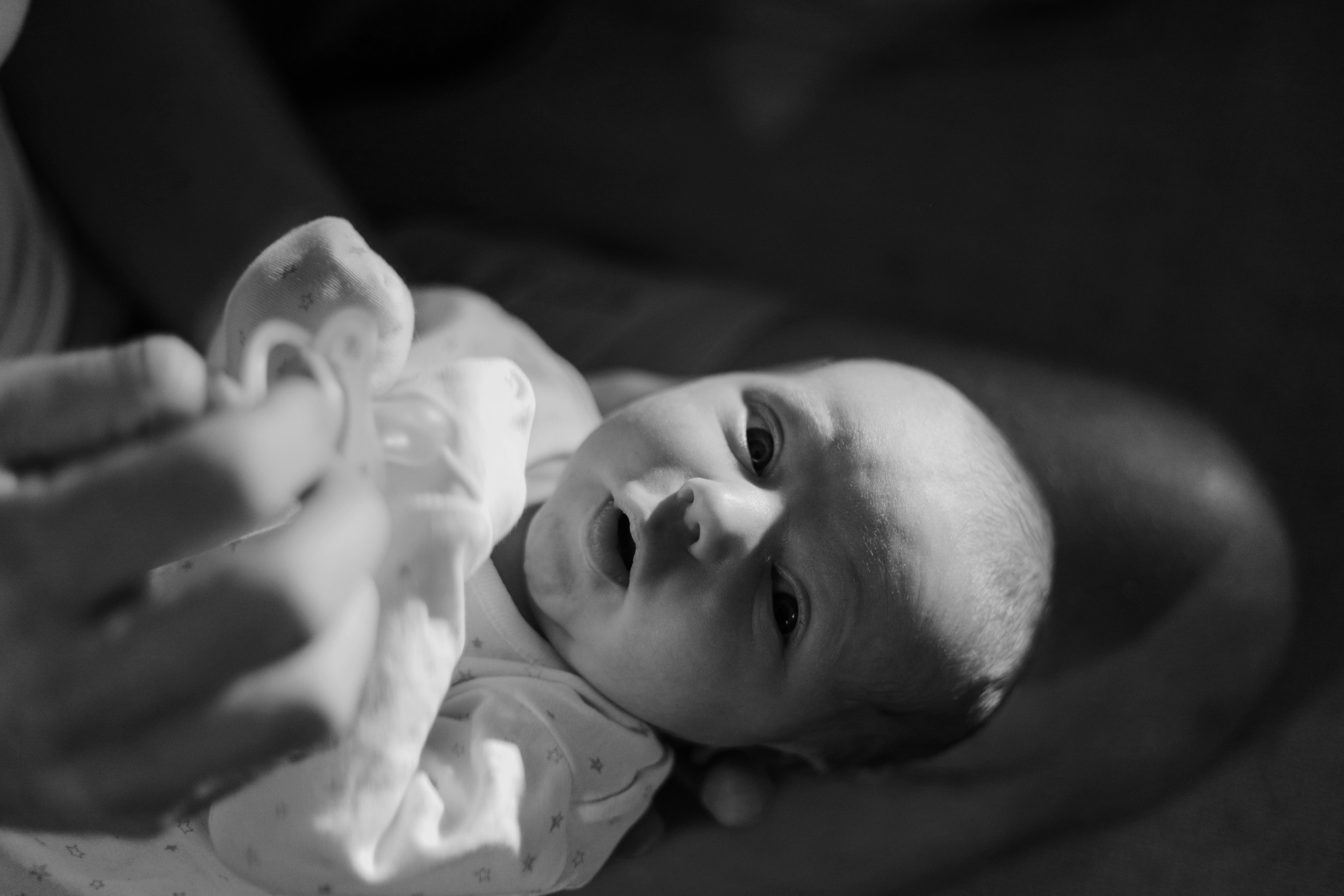 Алексей, Варя и крошка Лев. Варвара Синицына: семейный фотограф в Москве