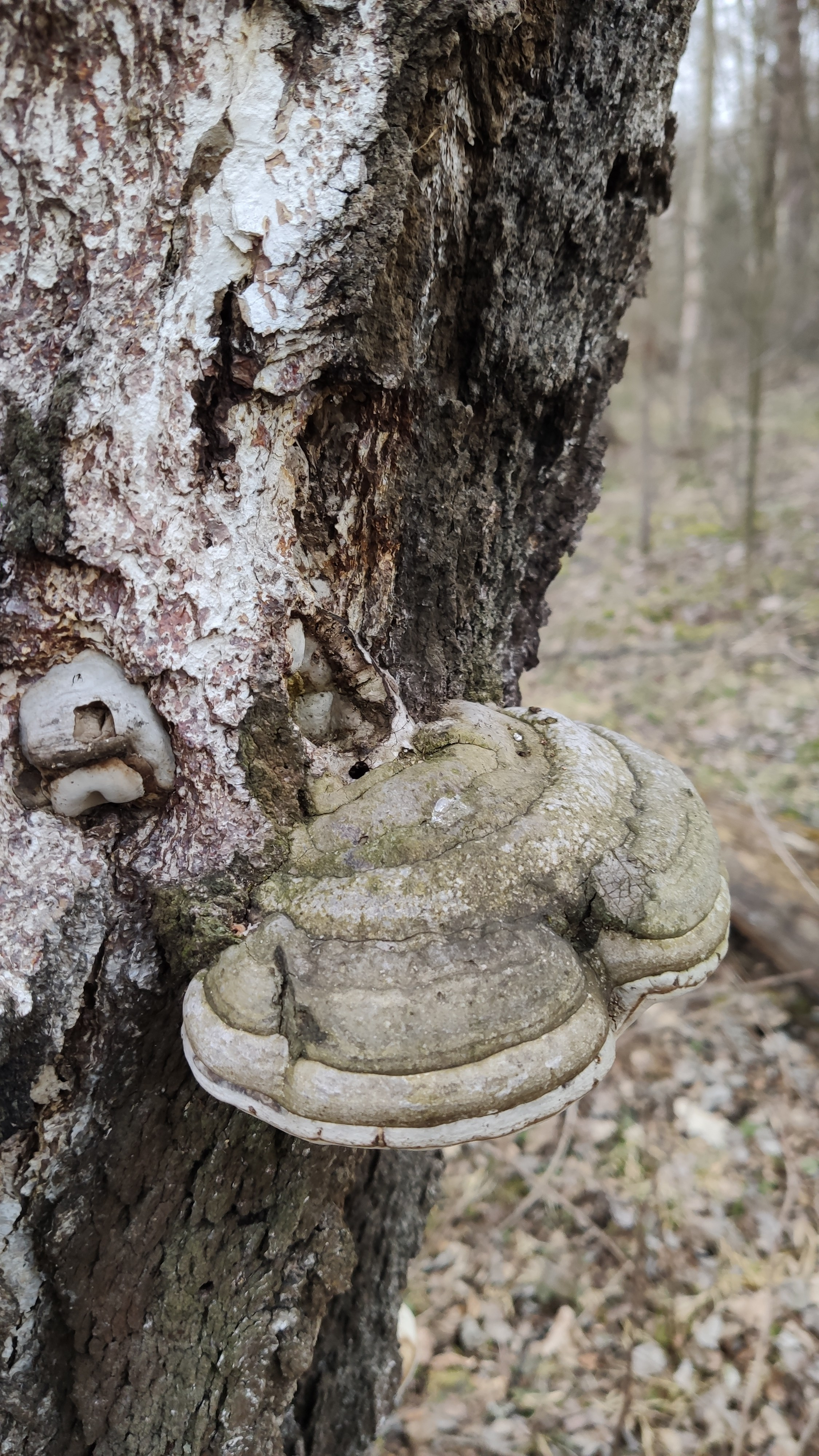 Фото Природы Забайкалья. Студия Максима Белослюдцева