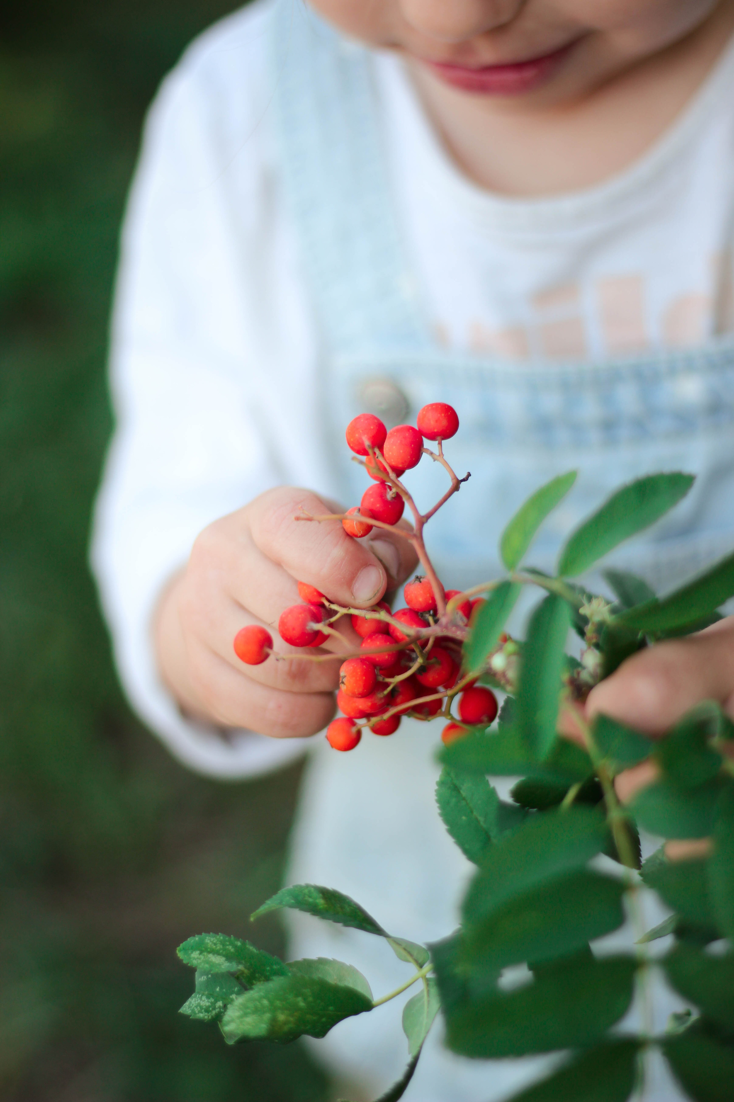 Летняя съемка. Детский и семейный фотограф в Челябинске Логинова Валерия