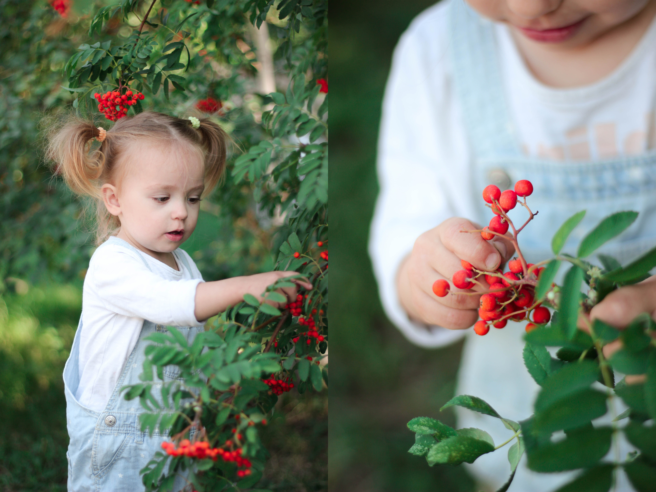 Летняя съемка. Детский и семейный фотограф в Челябинске Логинова Валерия