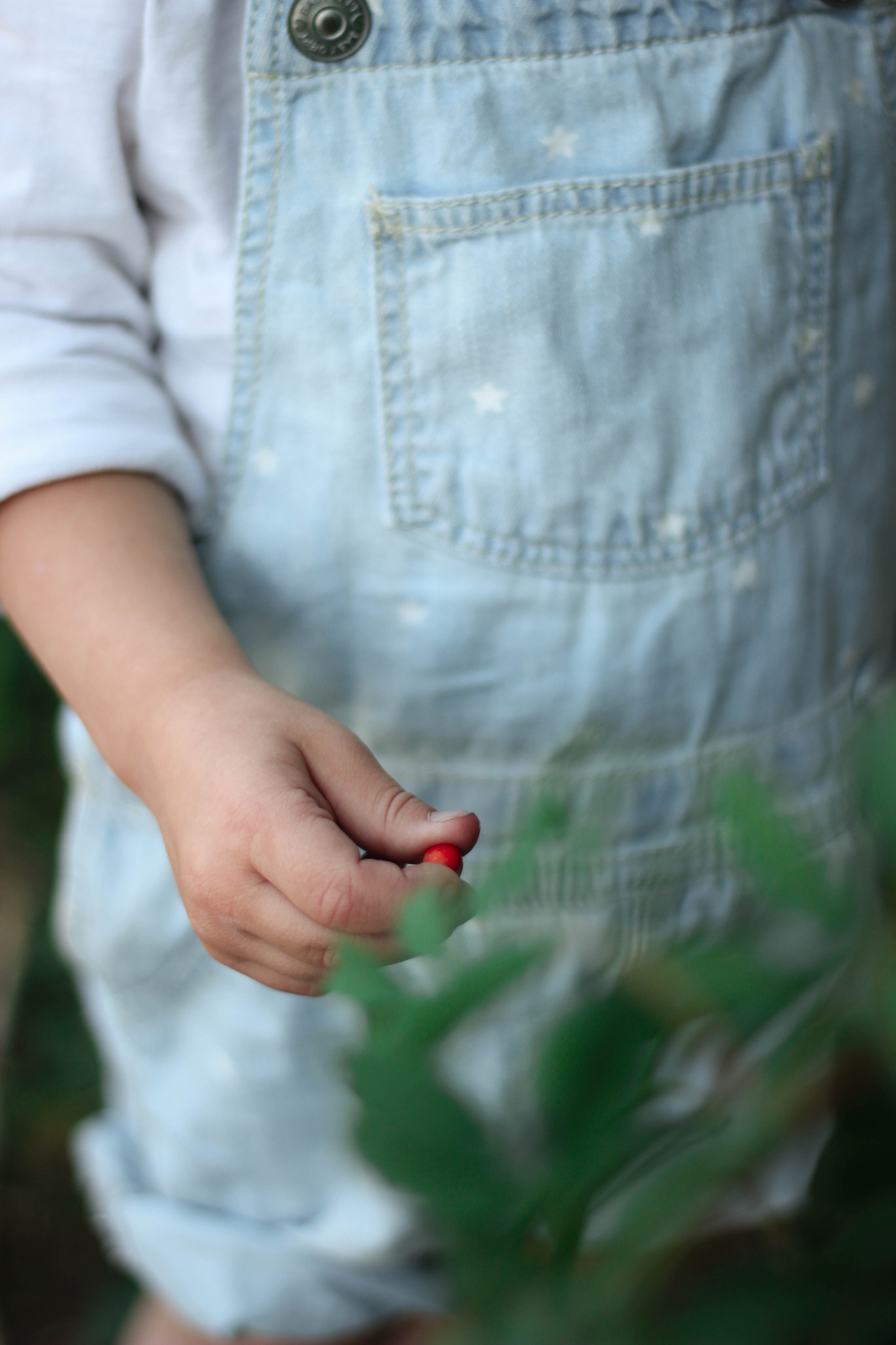 Летняя съемка. Детский и семейный фотограф в Челябинске Логинова Валерия