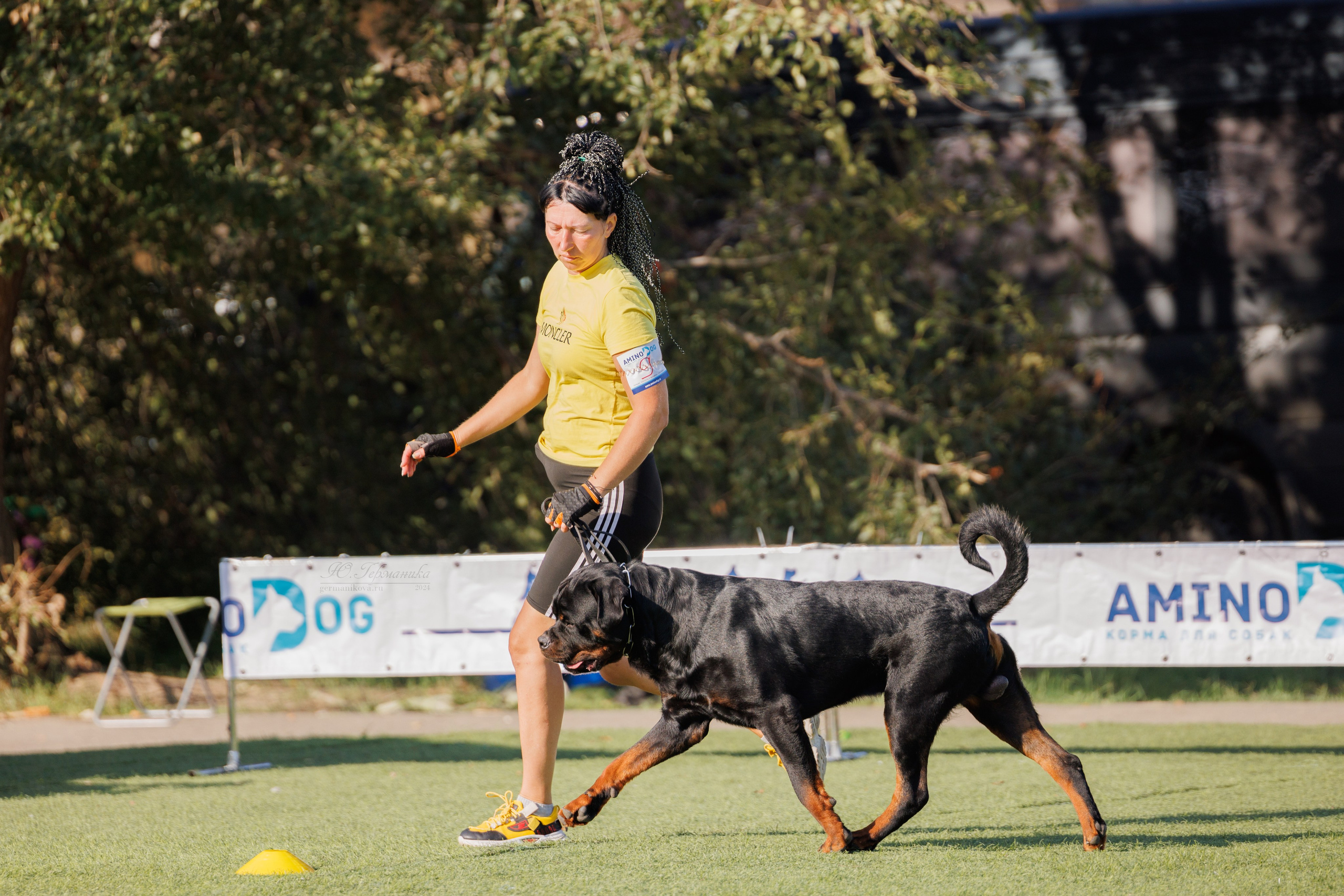 Анапа ротвейлеры 14-15.09.2024. Фотограф-анималист Юлия Германика