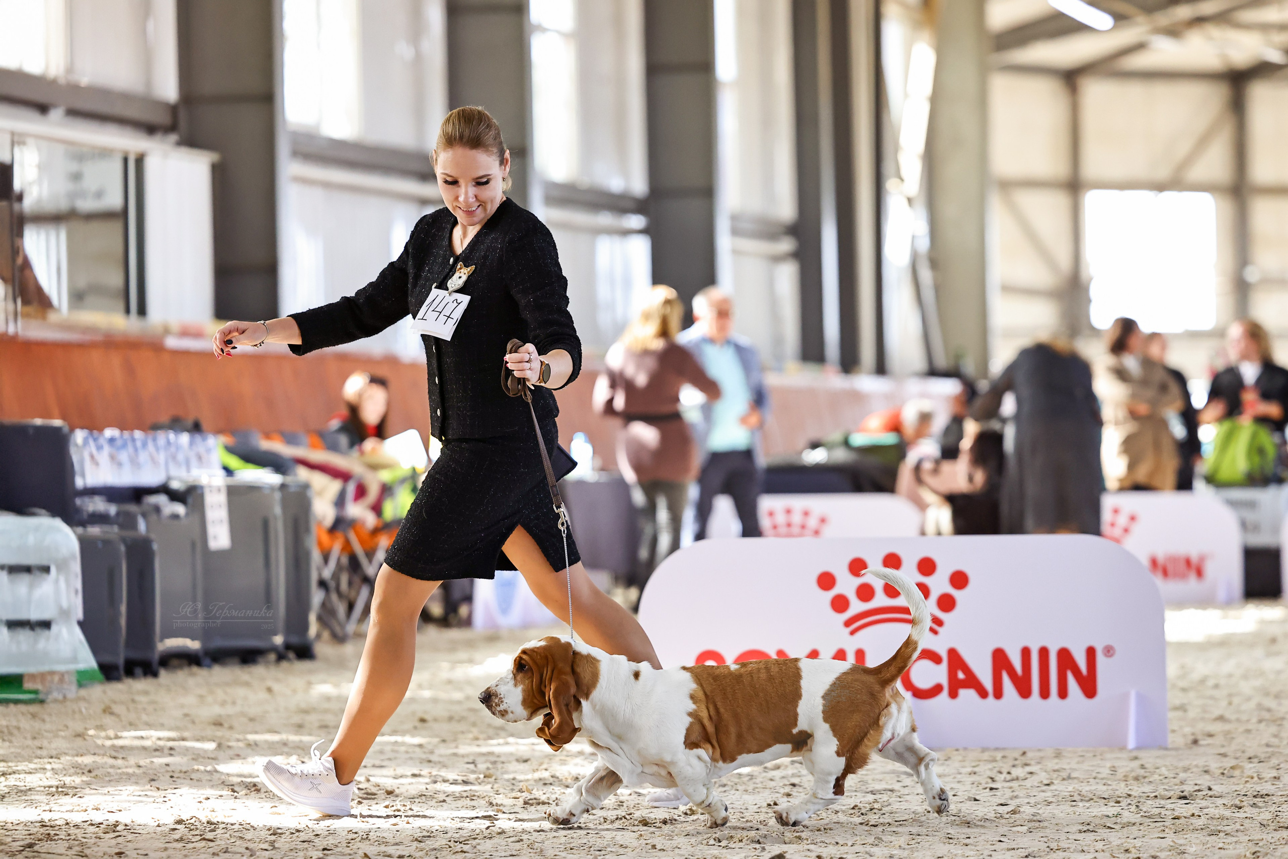 Астана 2хCACIB 26-28.09.2025. Фотограф-анималист Юлия Германика