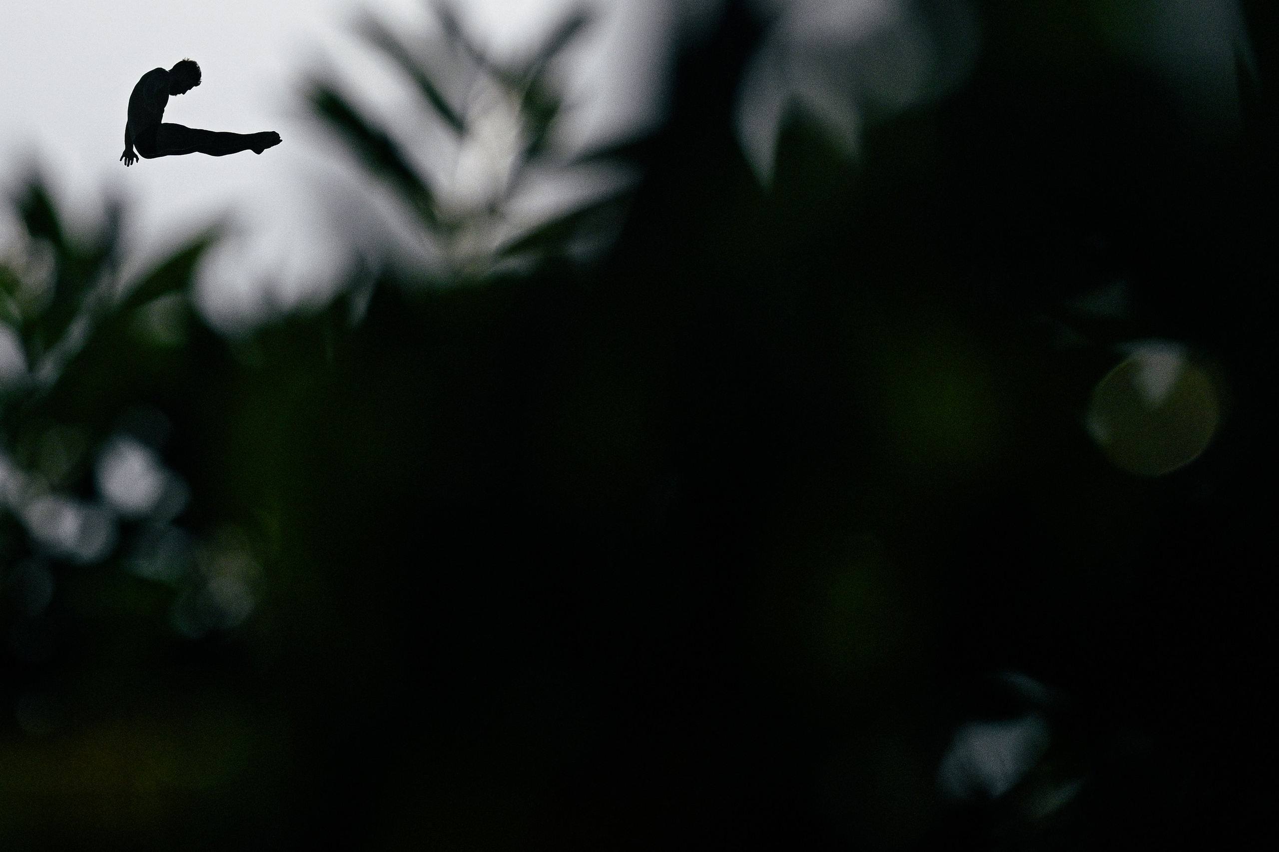 Sports. Evgenii Filippov — Photographer