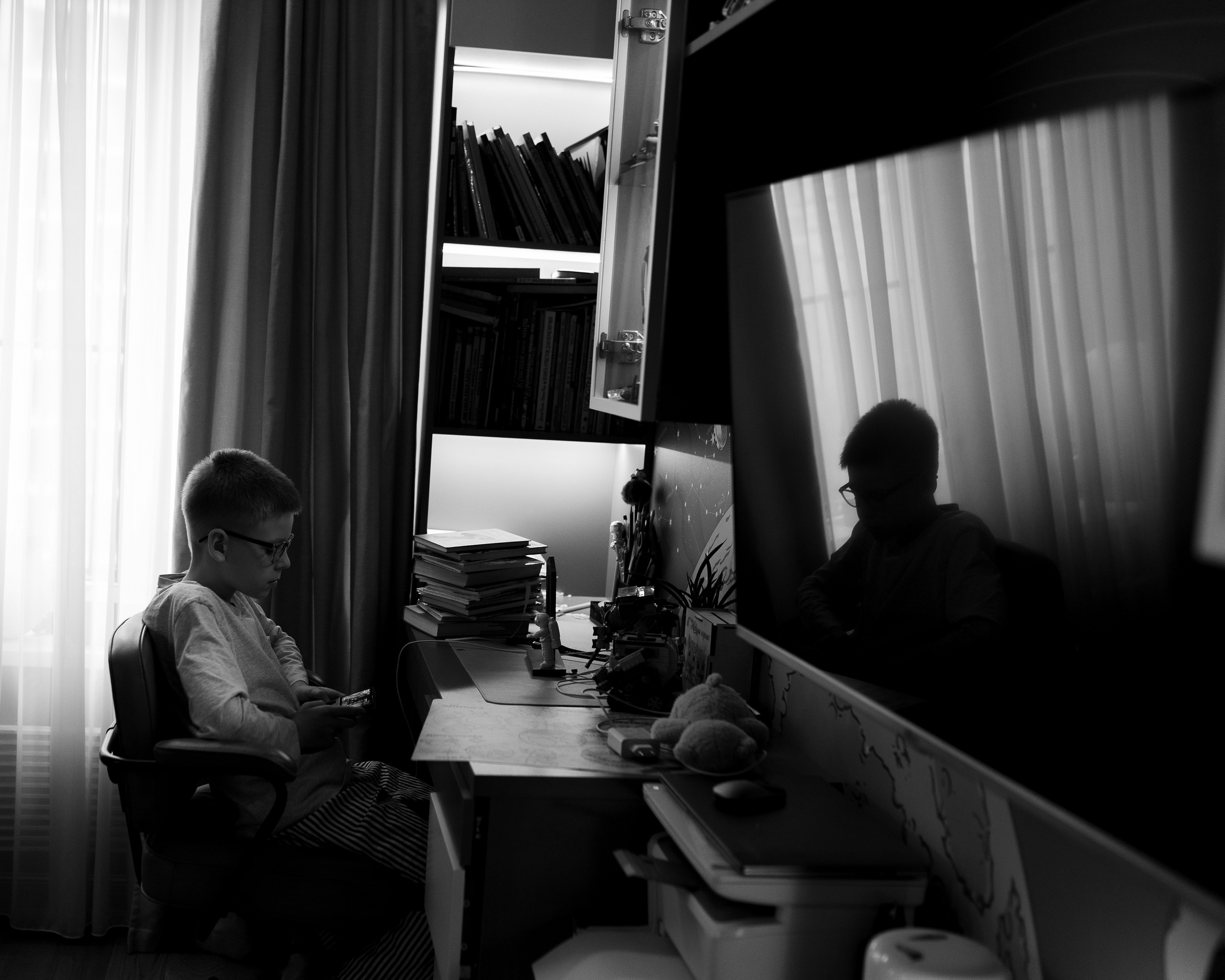 Домашняя история. Meryfotoidea