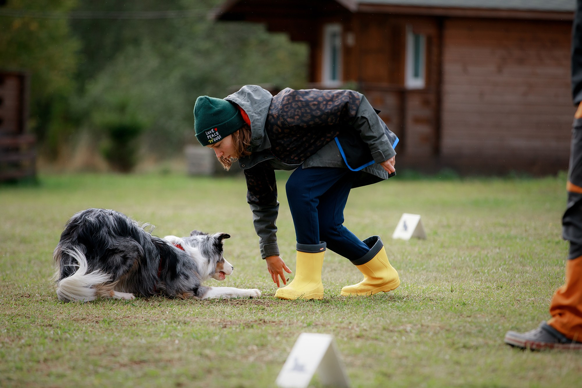 Лагерь по ОБД с Инной Баженовой. Фотограф-анималист Mary Mart — Москва, Питер