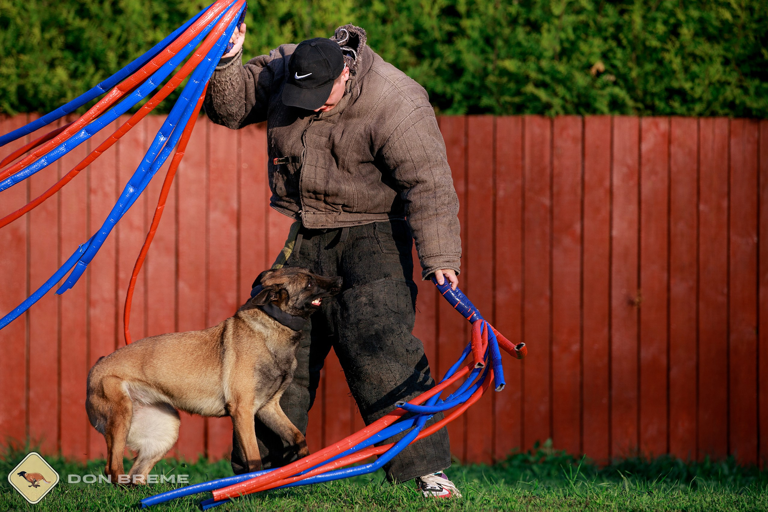Семинар для фигурантов, день 4. Фотограф-анималист Mary Mart — Москва, Питер