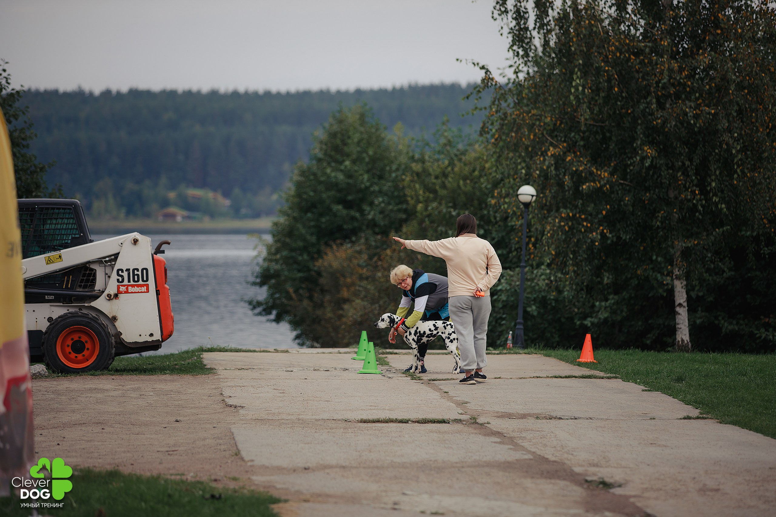 Кинологический лагерь CleverDog, 2024. Фотограф-анималист Mary Mart — Москва, Питер
