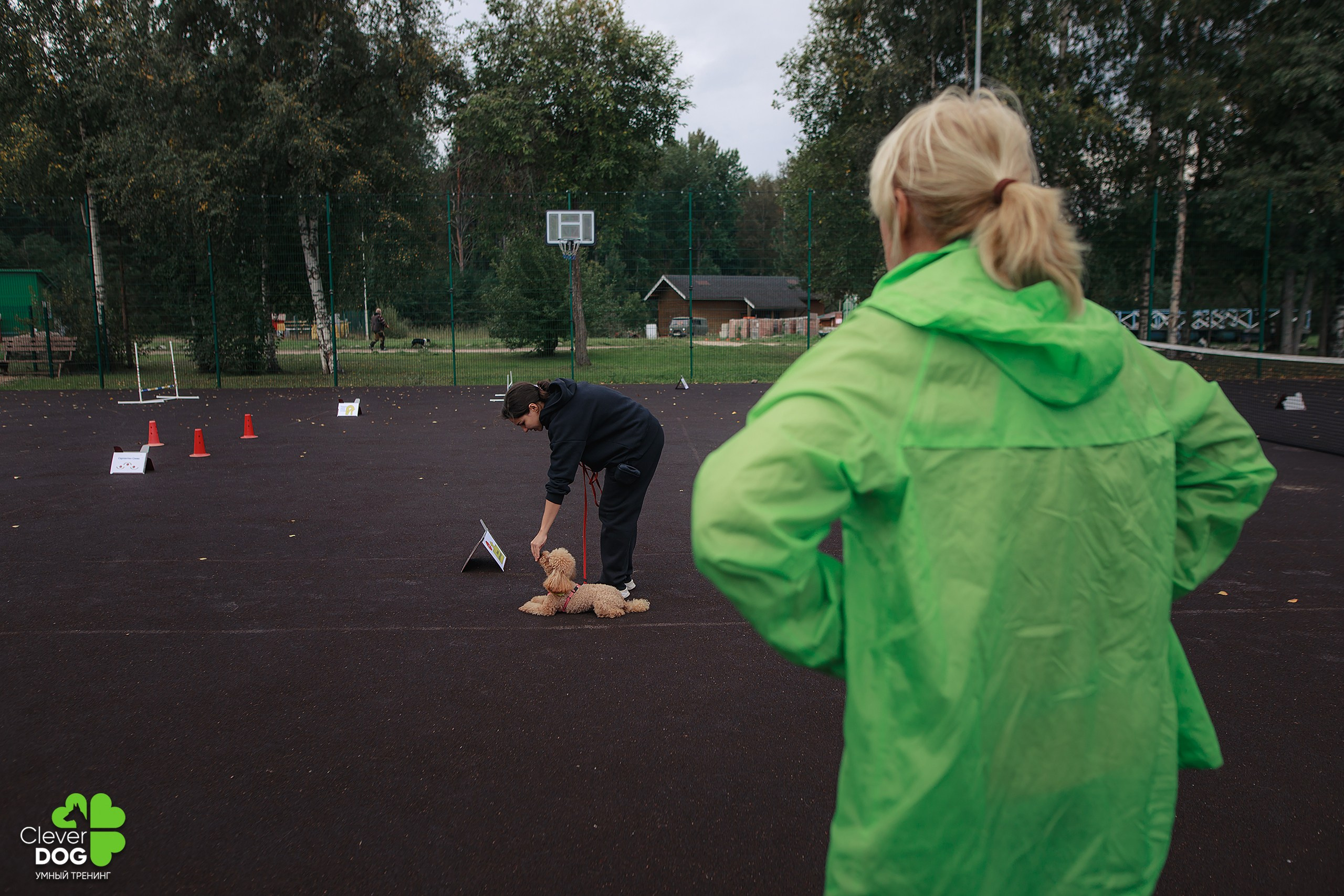 Кинологический лагерь CleverDog, 2024. Фотограф-анималист Mary Mart — Москва, Питер