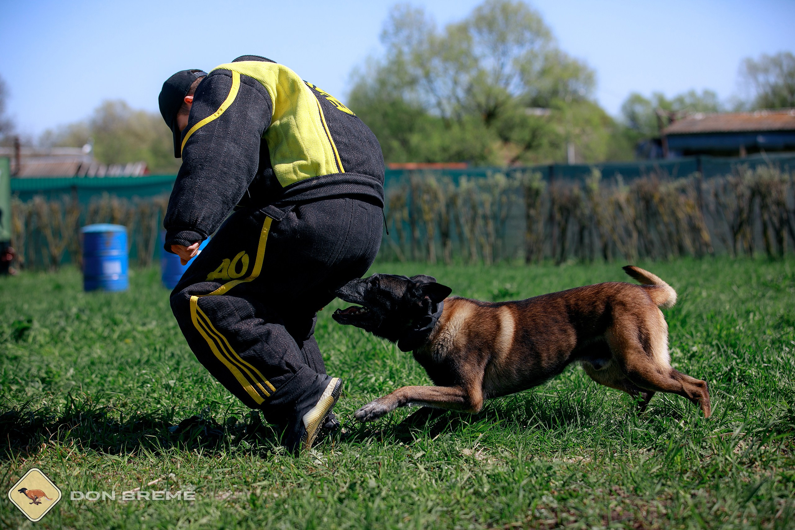 Семинар для фигурантов, день 3. Фотограф-анималист Mary Mart — Москва, Питер