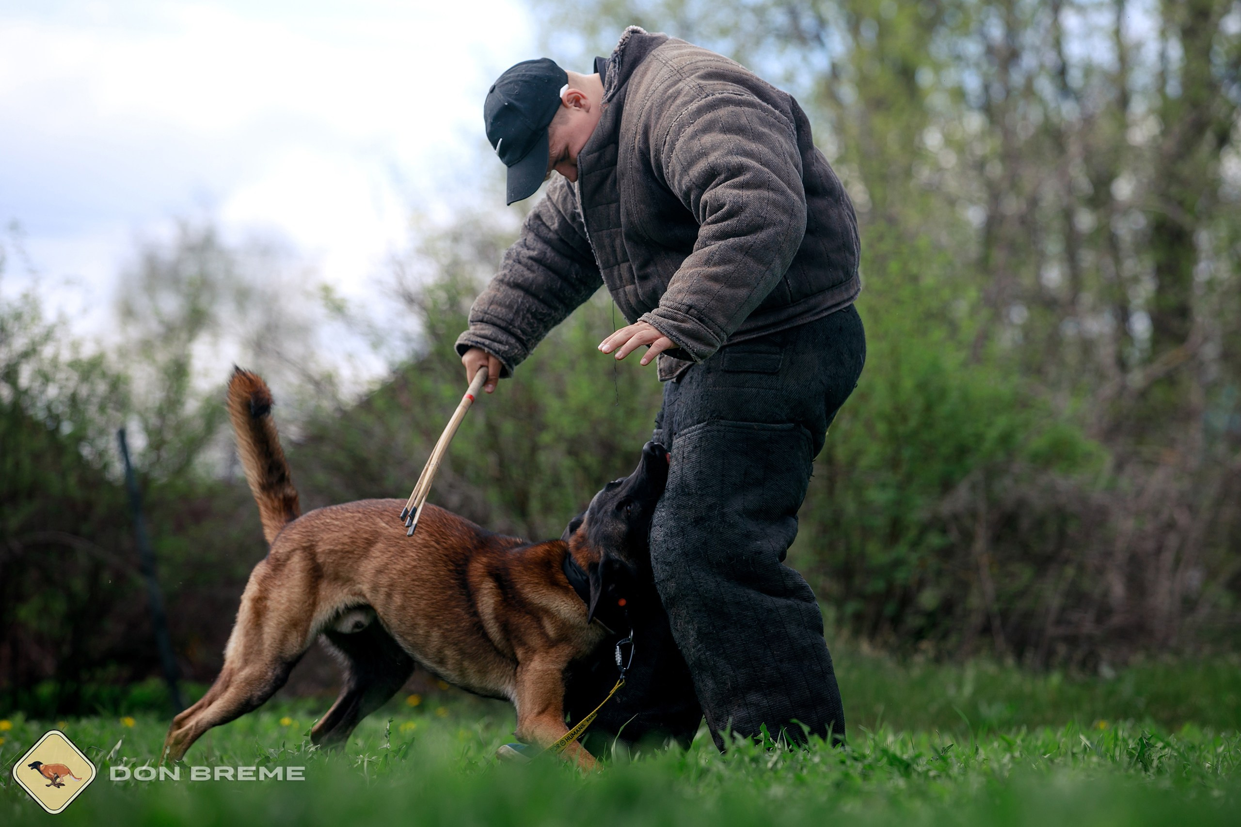 Семинар для фигурантов, день 2. Фотограф-анималист Mary Mart — Москва, Питер