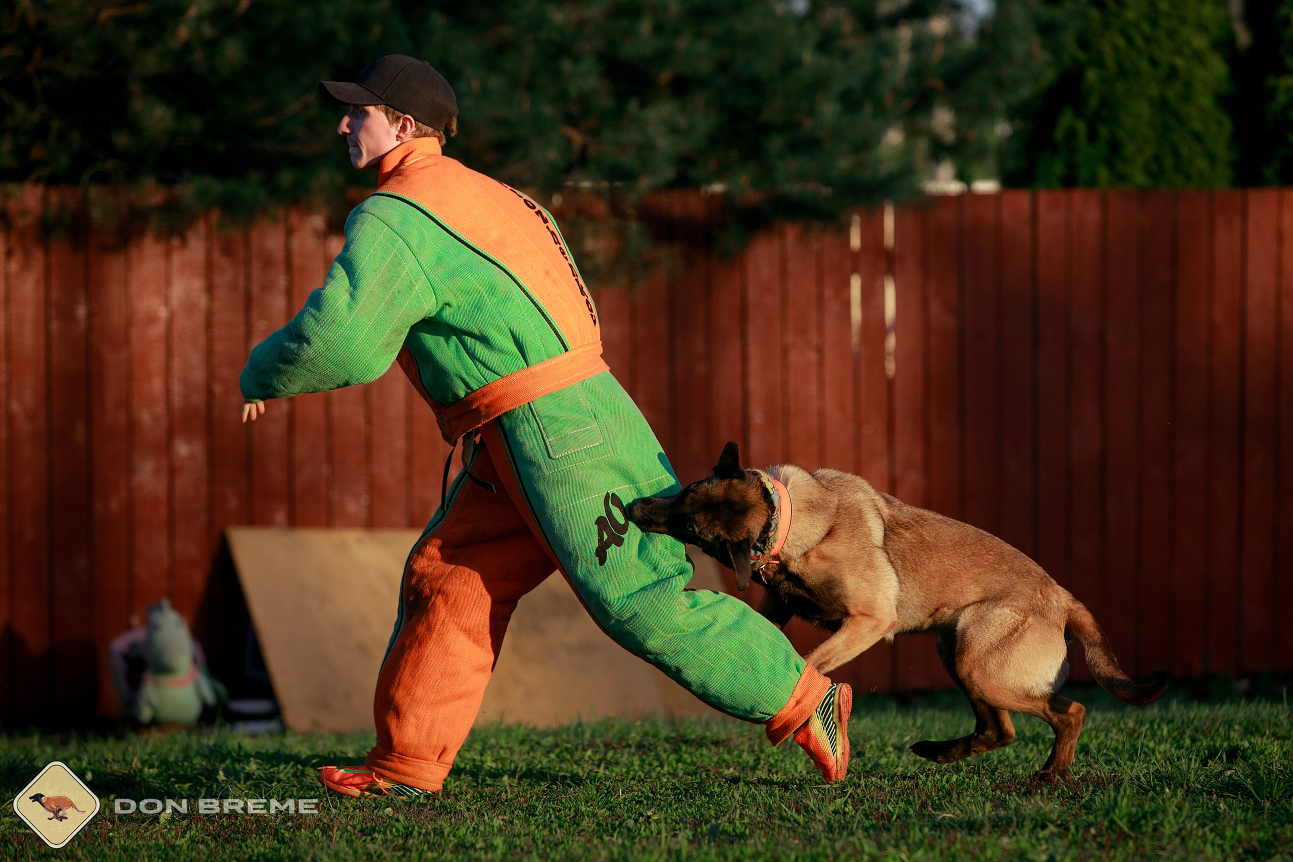 Семинар для фигурантов, день 3. Фотограф-анималист Mary Mart — Москва, Питер