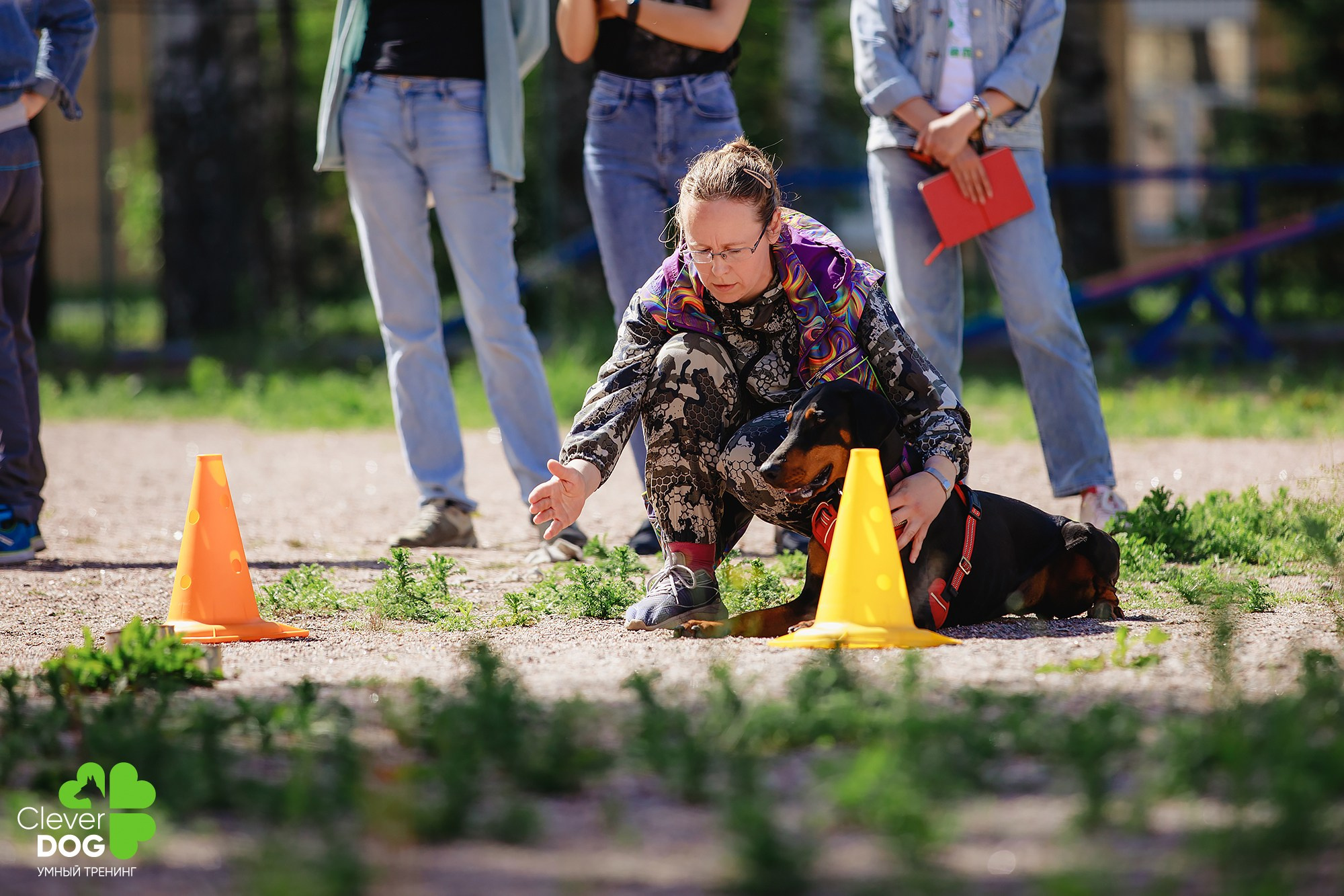 Семинар по поиску запаха с Иваном Ломовым, организатор CleverDog, СПб. Фотограф-анималист Mary Mart — Москва, Питер