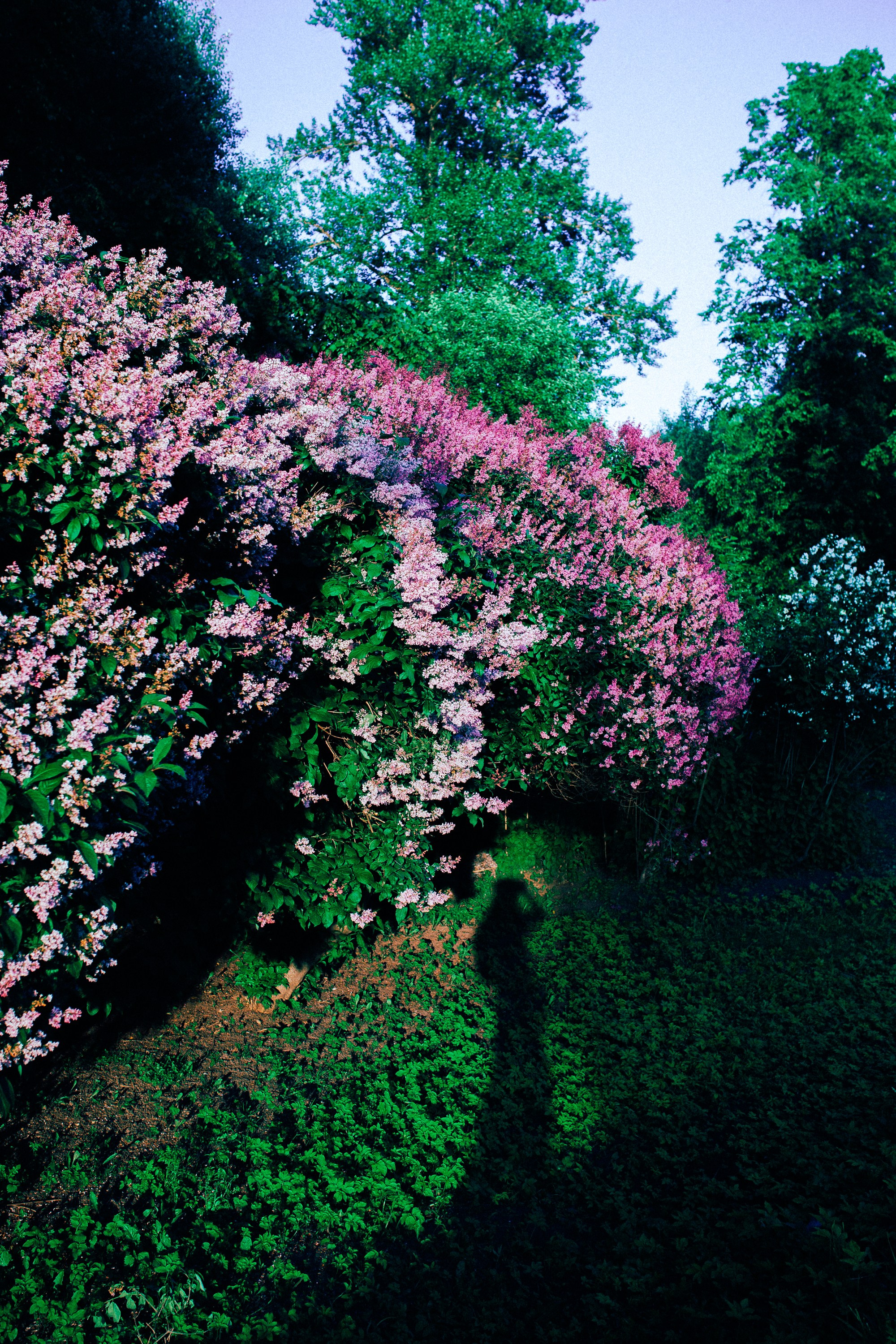 Аня. Фотограф Оля Батист