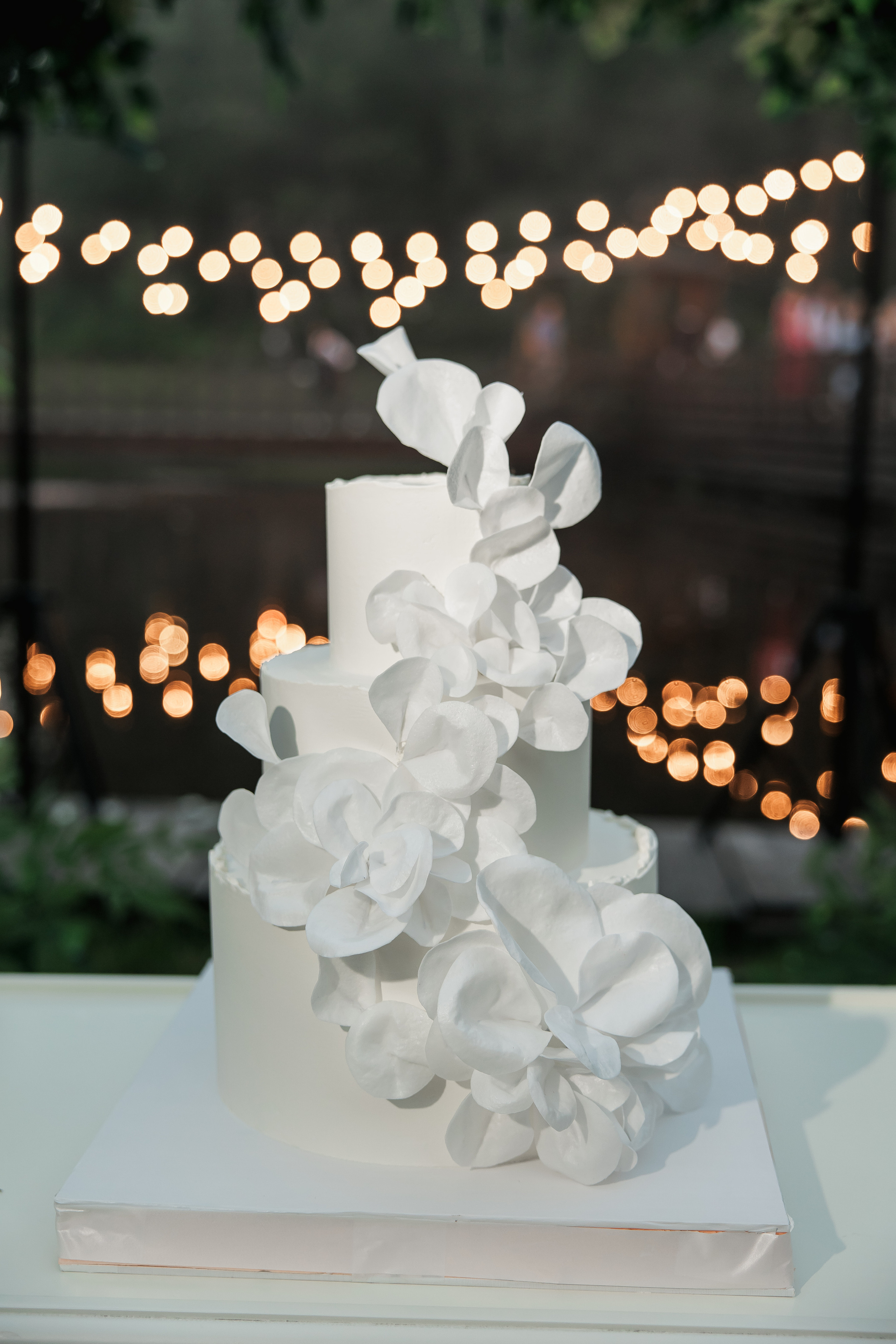 Свадьба Ильи и Дарьи