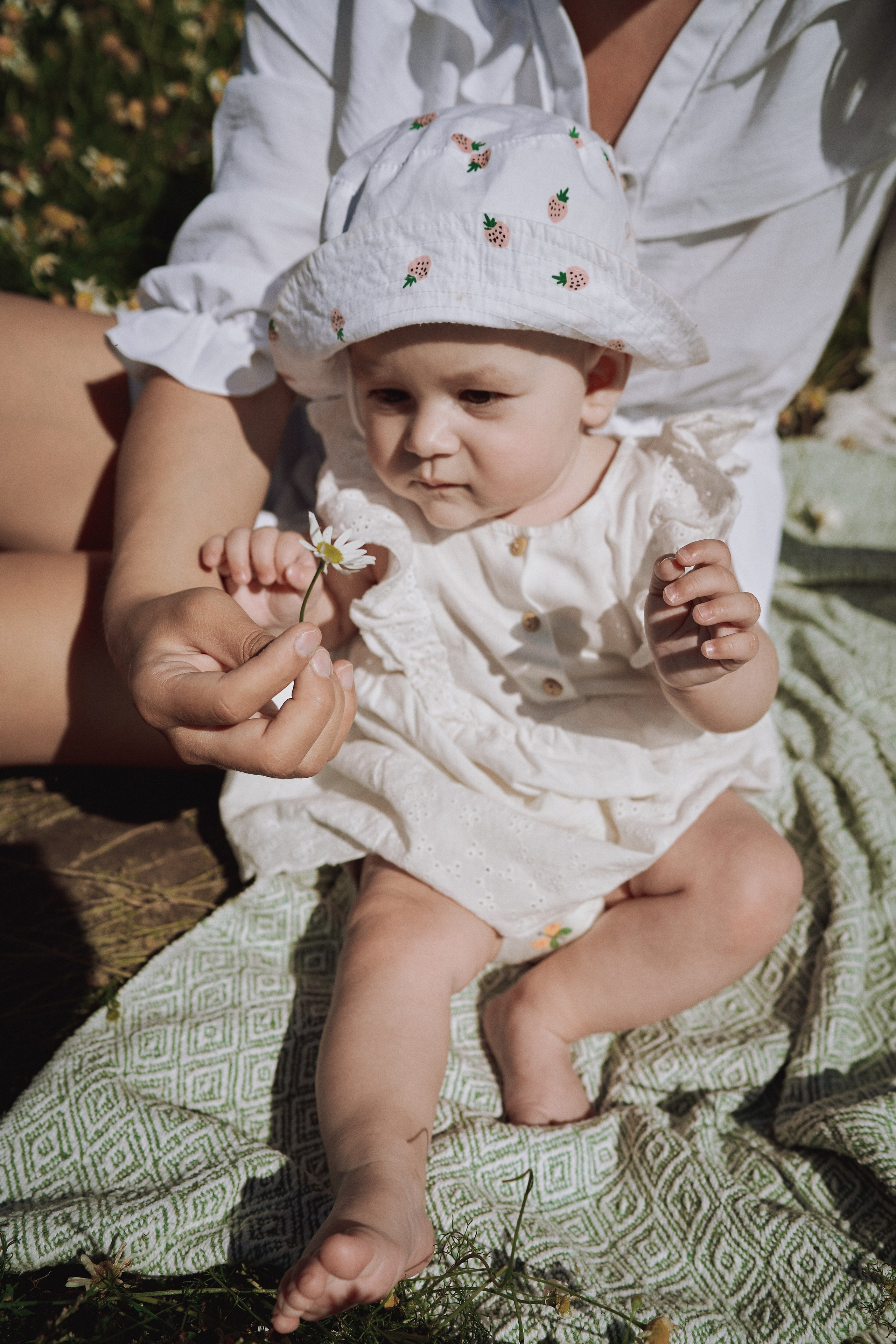 Поле с ромашками. Фотограф в Санкт-Петербурге | Аня Маленчук