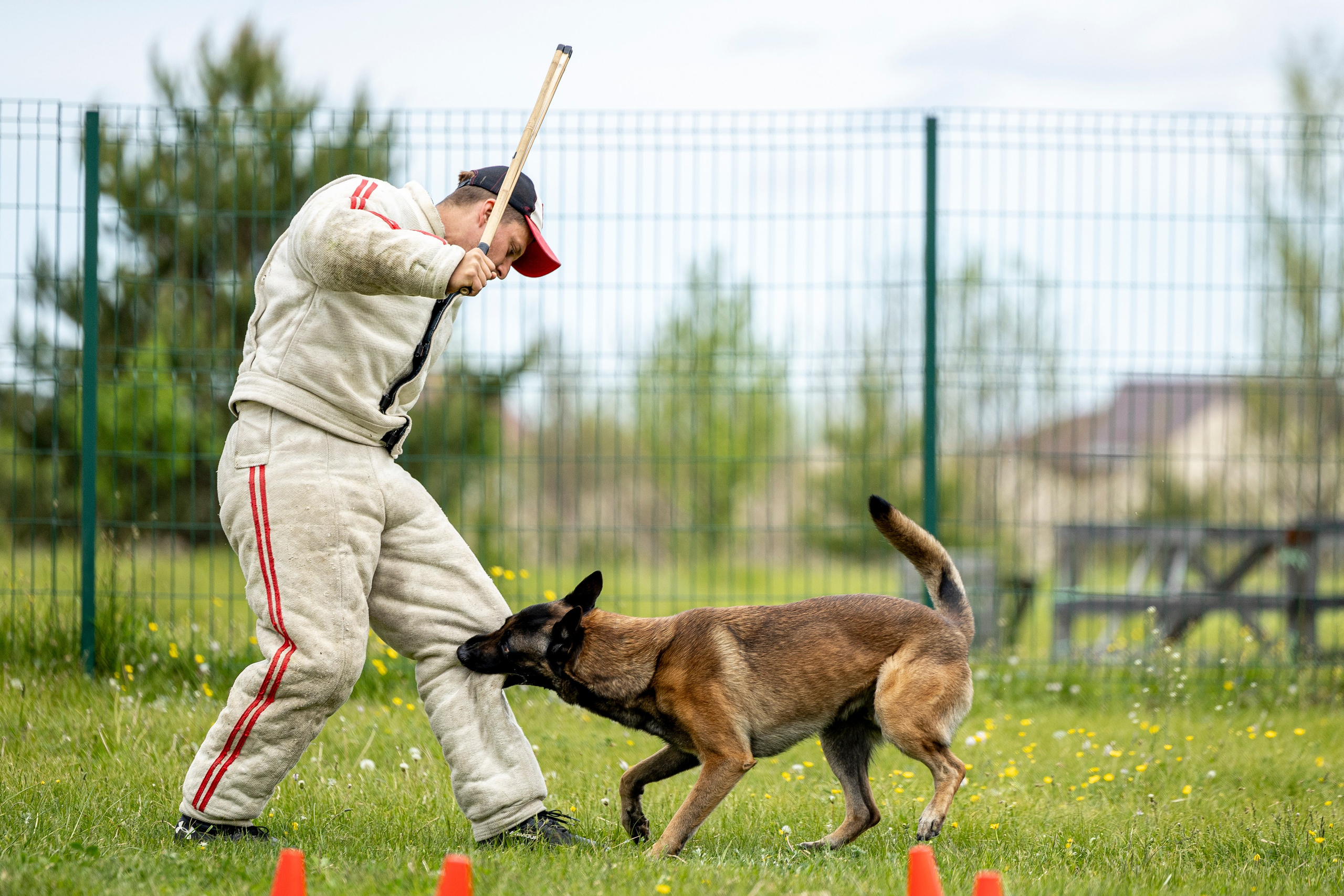 Испытания по мондьорингу в Нижнем Новгороде. Фотограф-анималист Анна Маринич