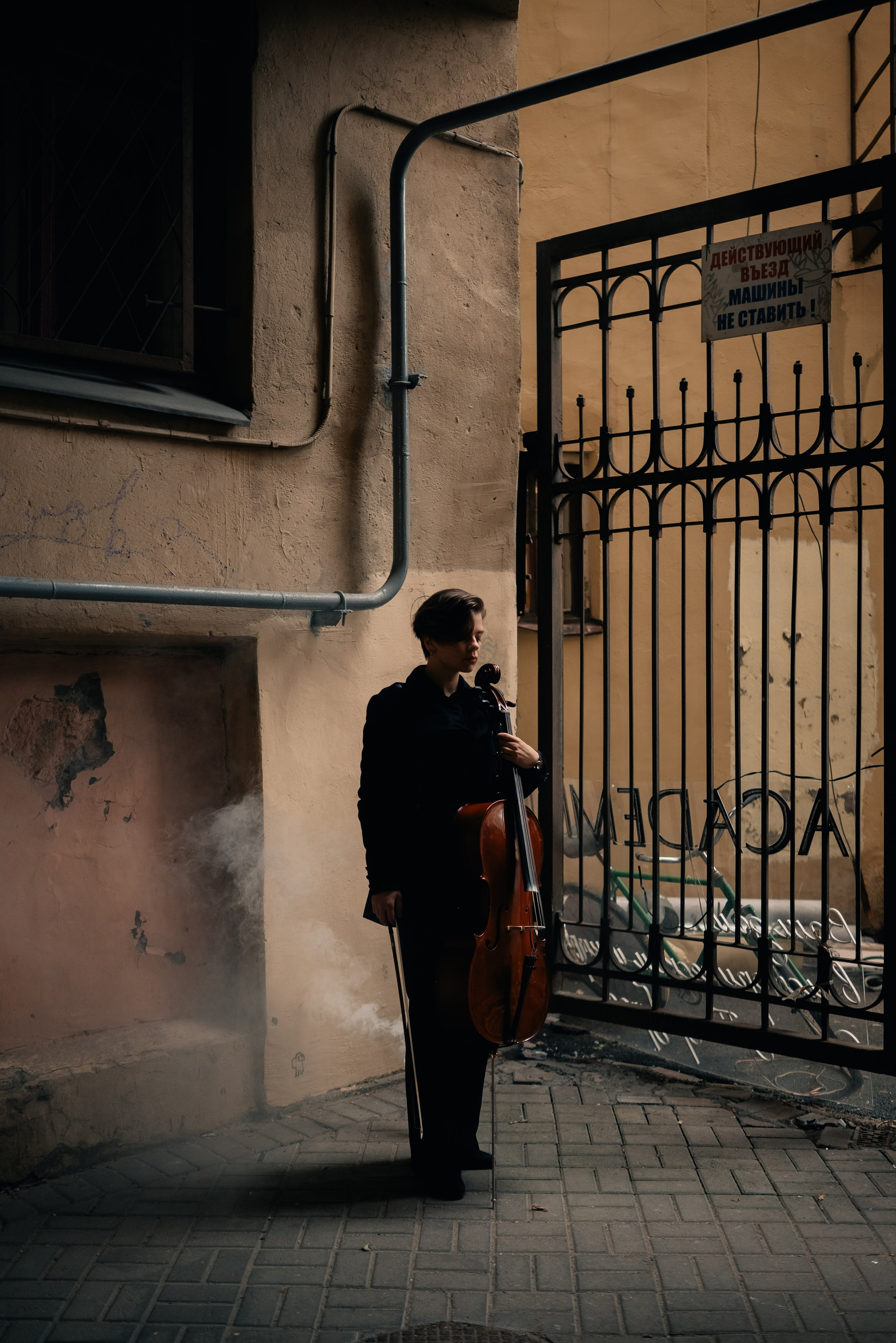 Алиса (Виолончель). Непарадное в парадных