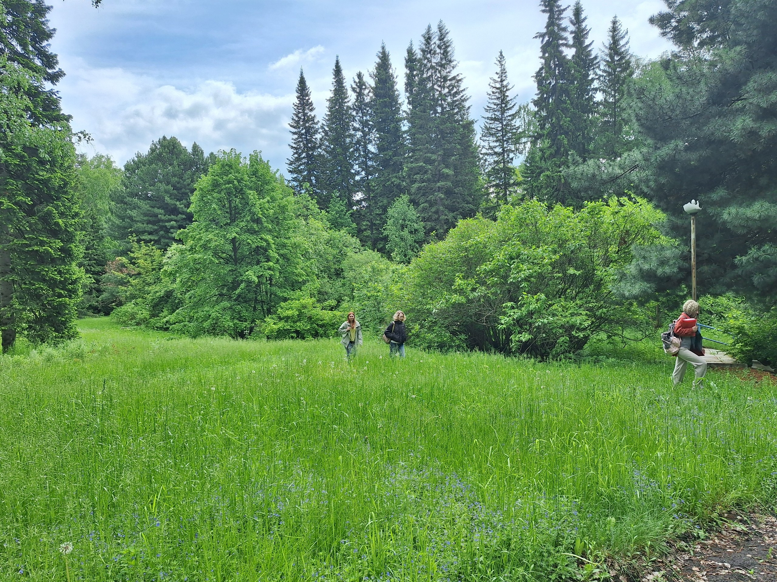 Новосибирск | 2024. Галерея Фантим