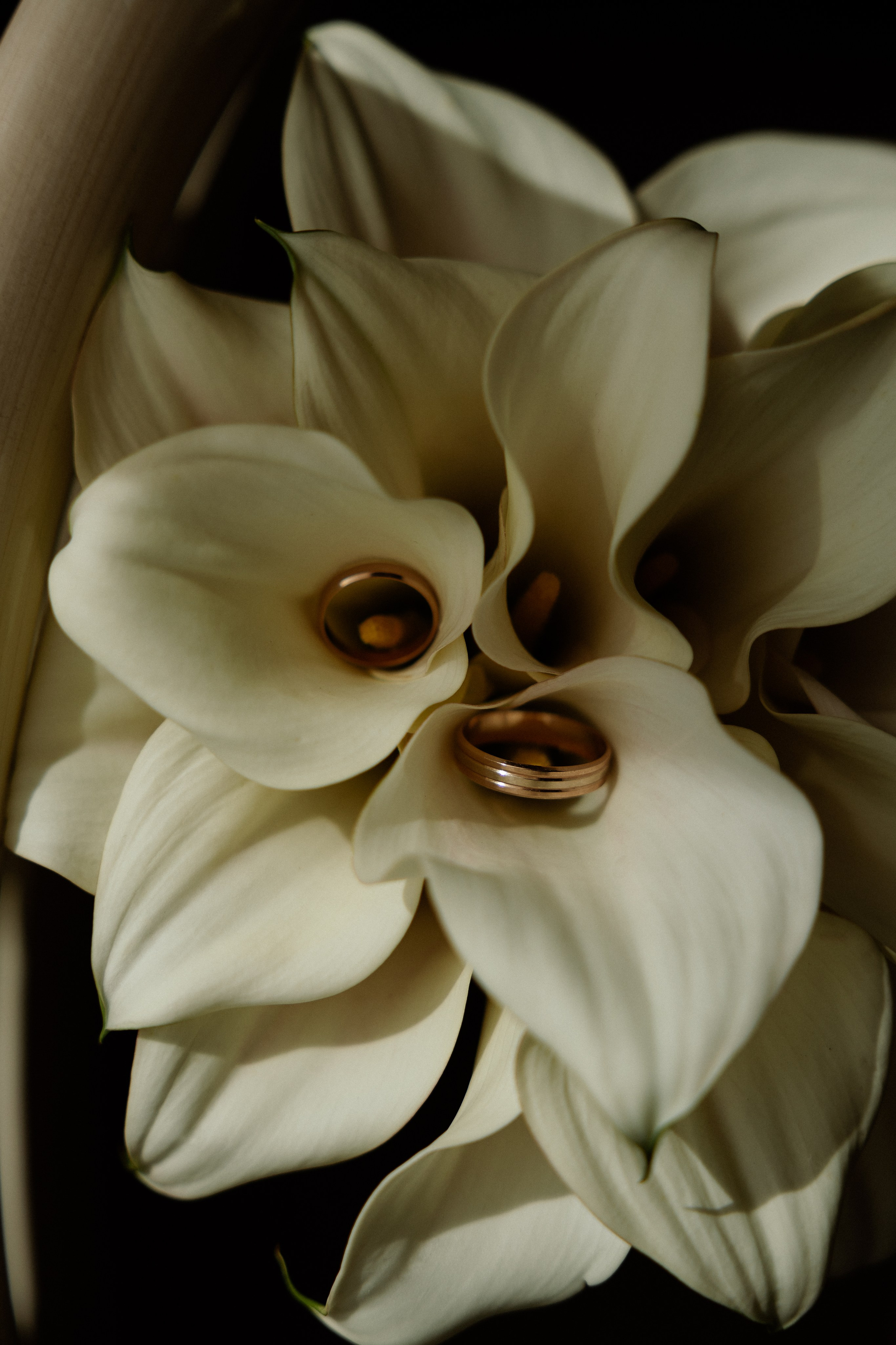 Фотограф Полина Фролова