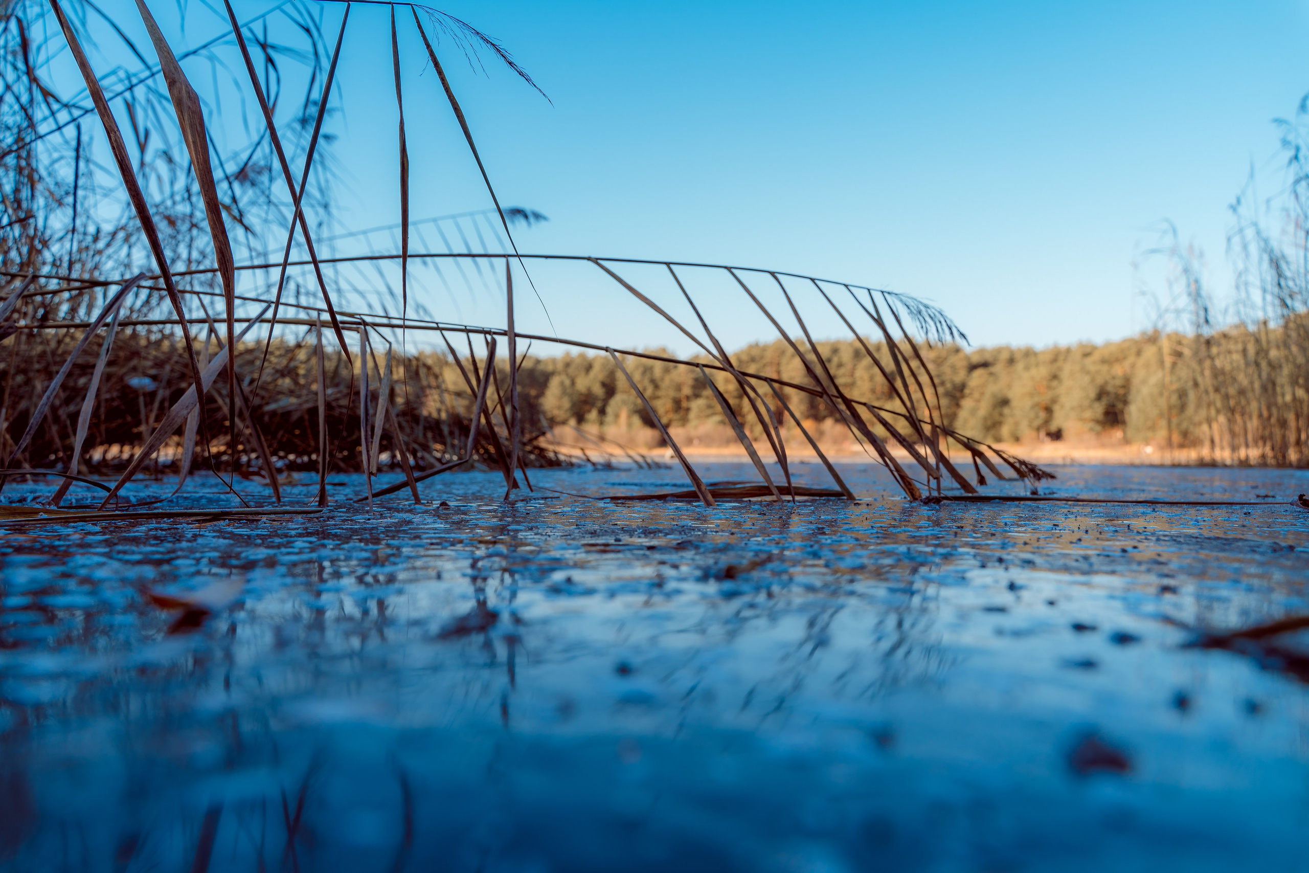 Пища для глаз. Ваш фотограф Северск | Томск
