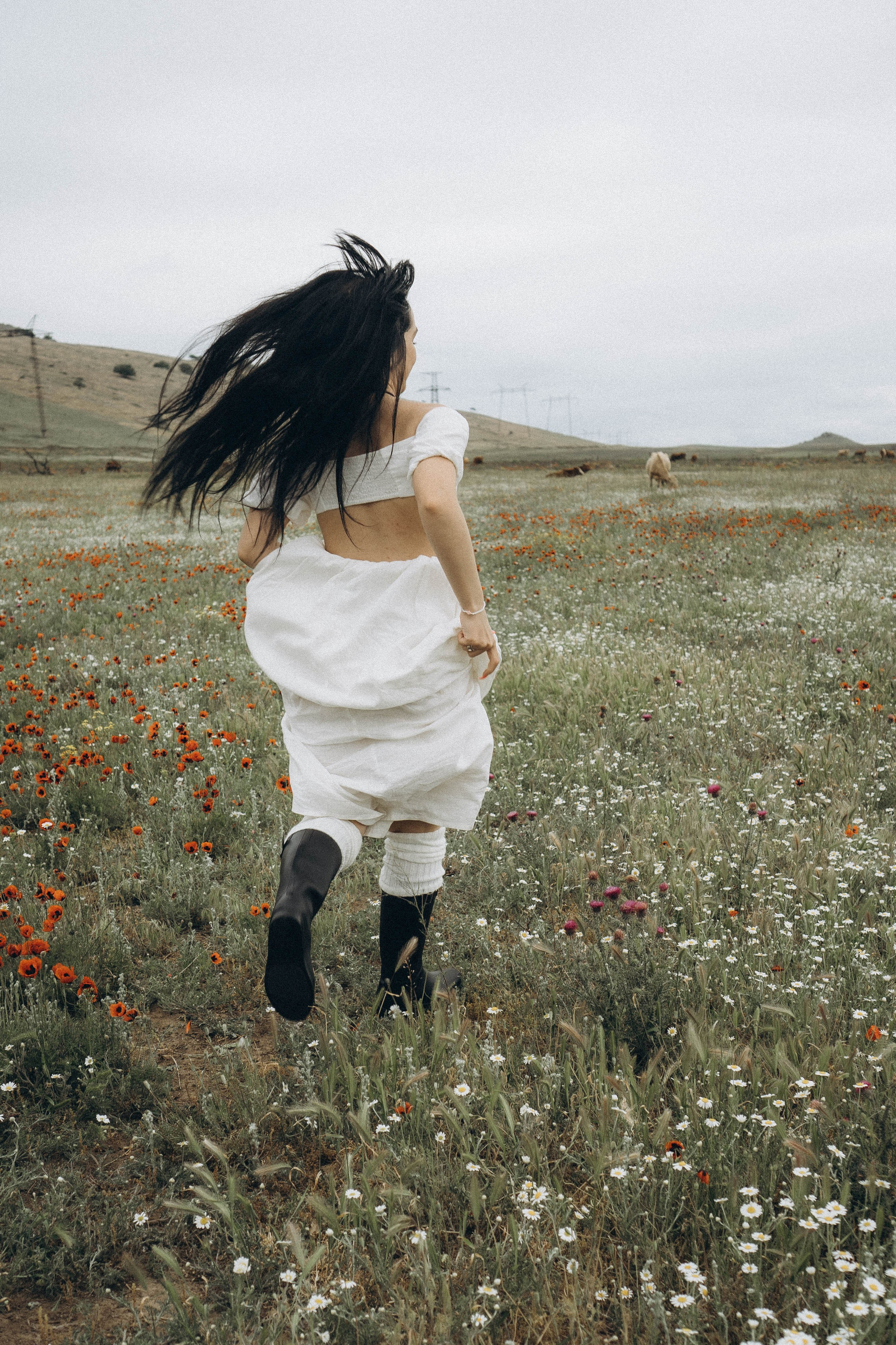 Маковое поле. Профессиональный фотограф, Санкт-Петербург — Виктория Богомолова